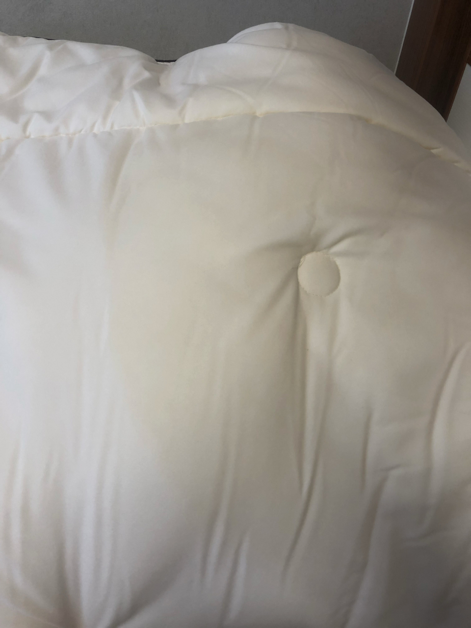 啊啊啊～被猫尿过的被子怎么救 这货居然尿床了 尿在被子上 被套可以