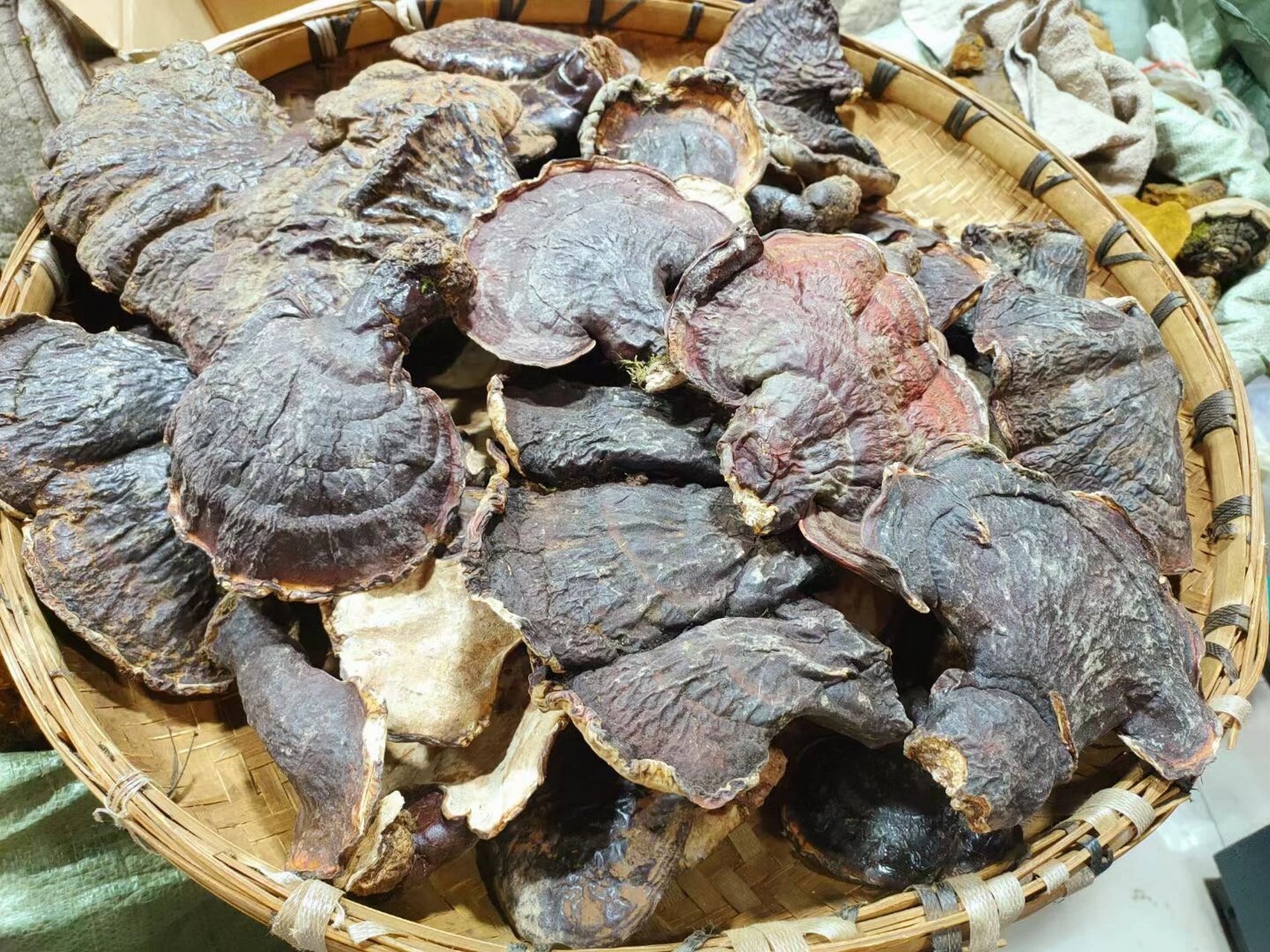 特级正品西藏纯野生松衫白灵芝 67白灵芝具有活血化瘀,风热解痛