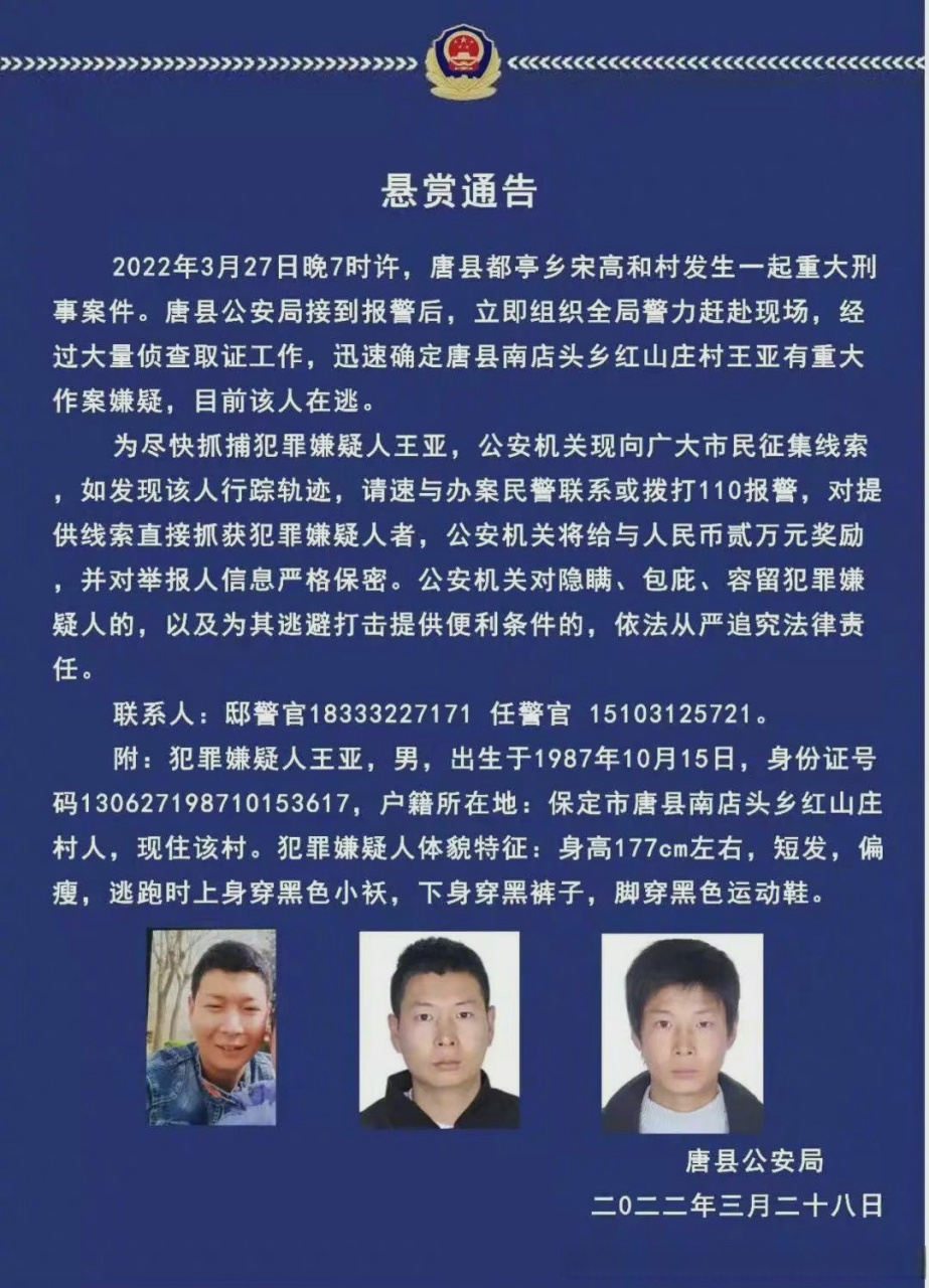 保定西南韩案件图片