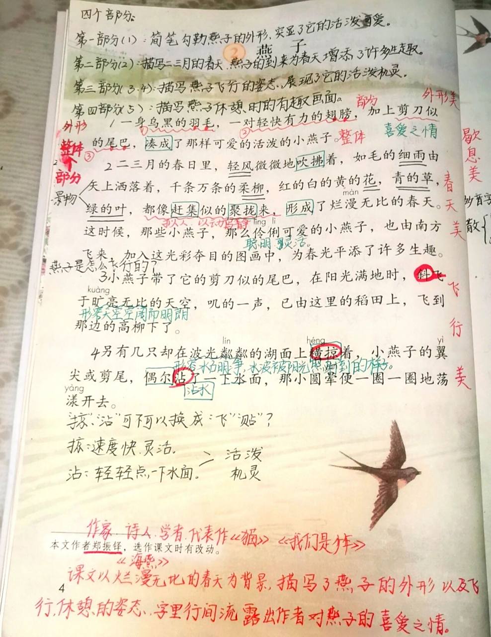 三年级下册语文第二课《燕子》预习笔记 三年级下册语文第二课《燕子