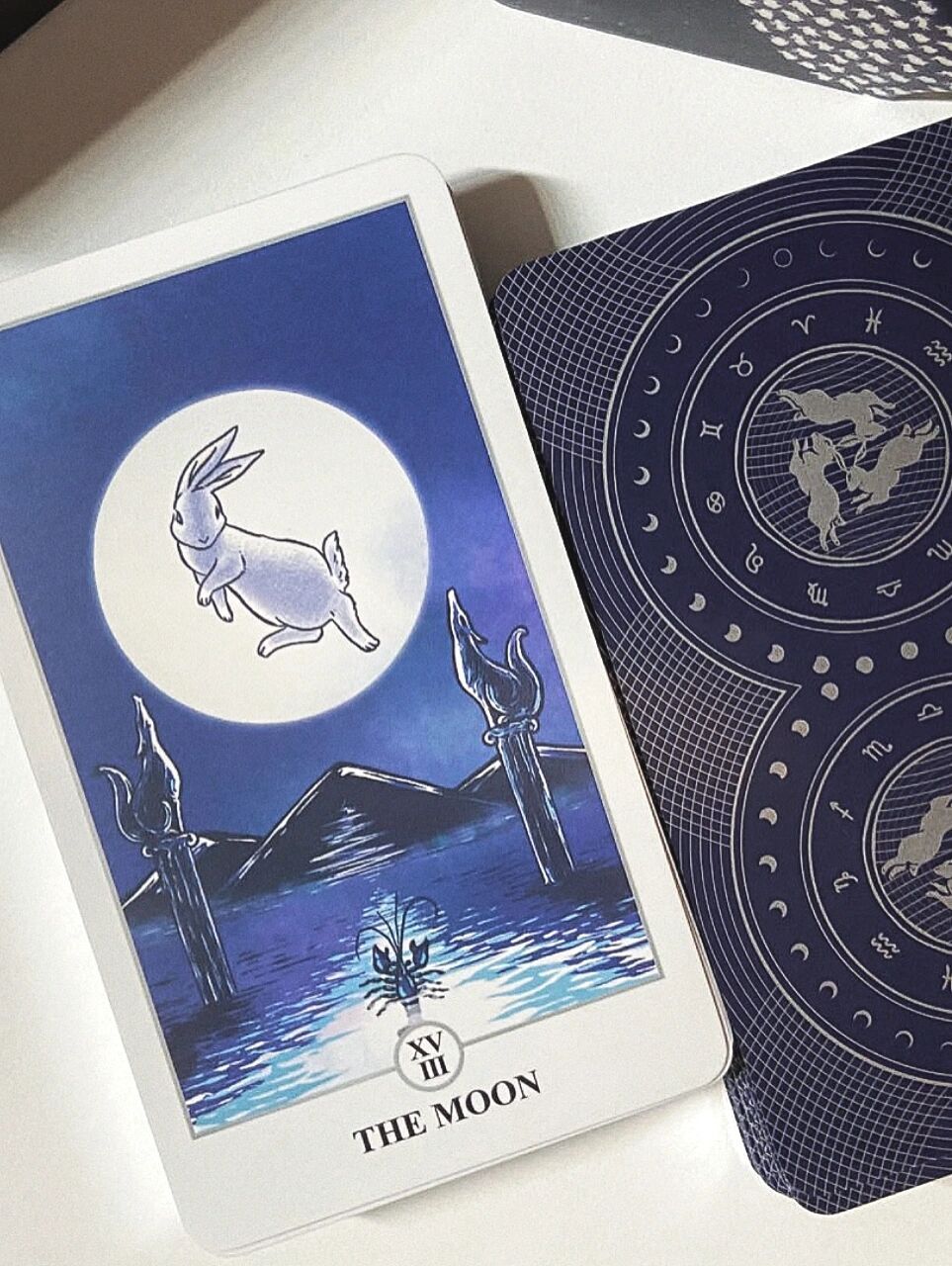 月下兔93lunalapin rabbit tarot 分享来自泰国的月下兔塔罗(我入的