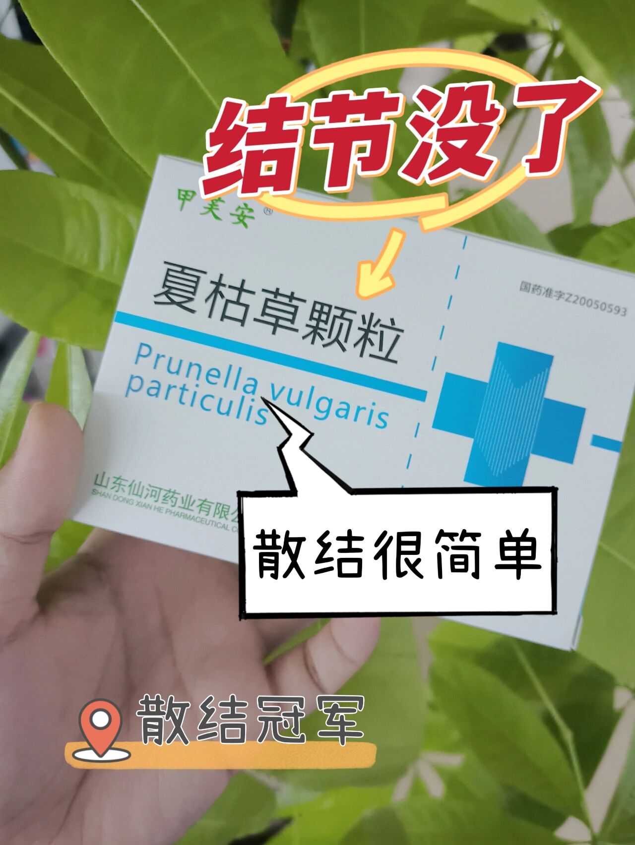 羚羊清肺颗粒适用人群图片