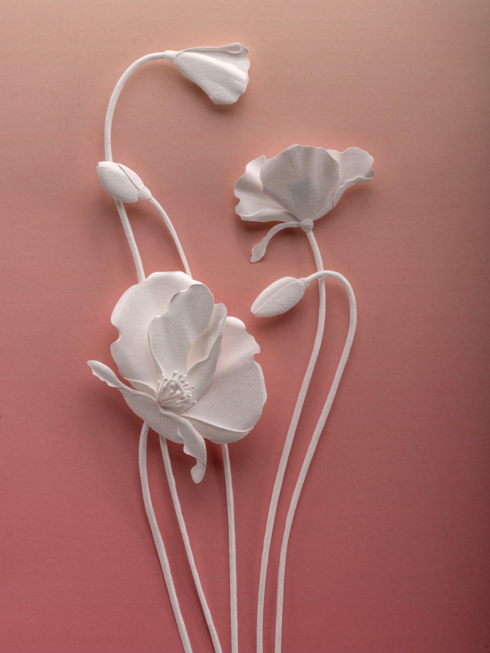 原创纸浮雕,很有感觉! #手工