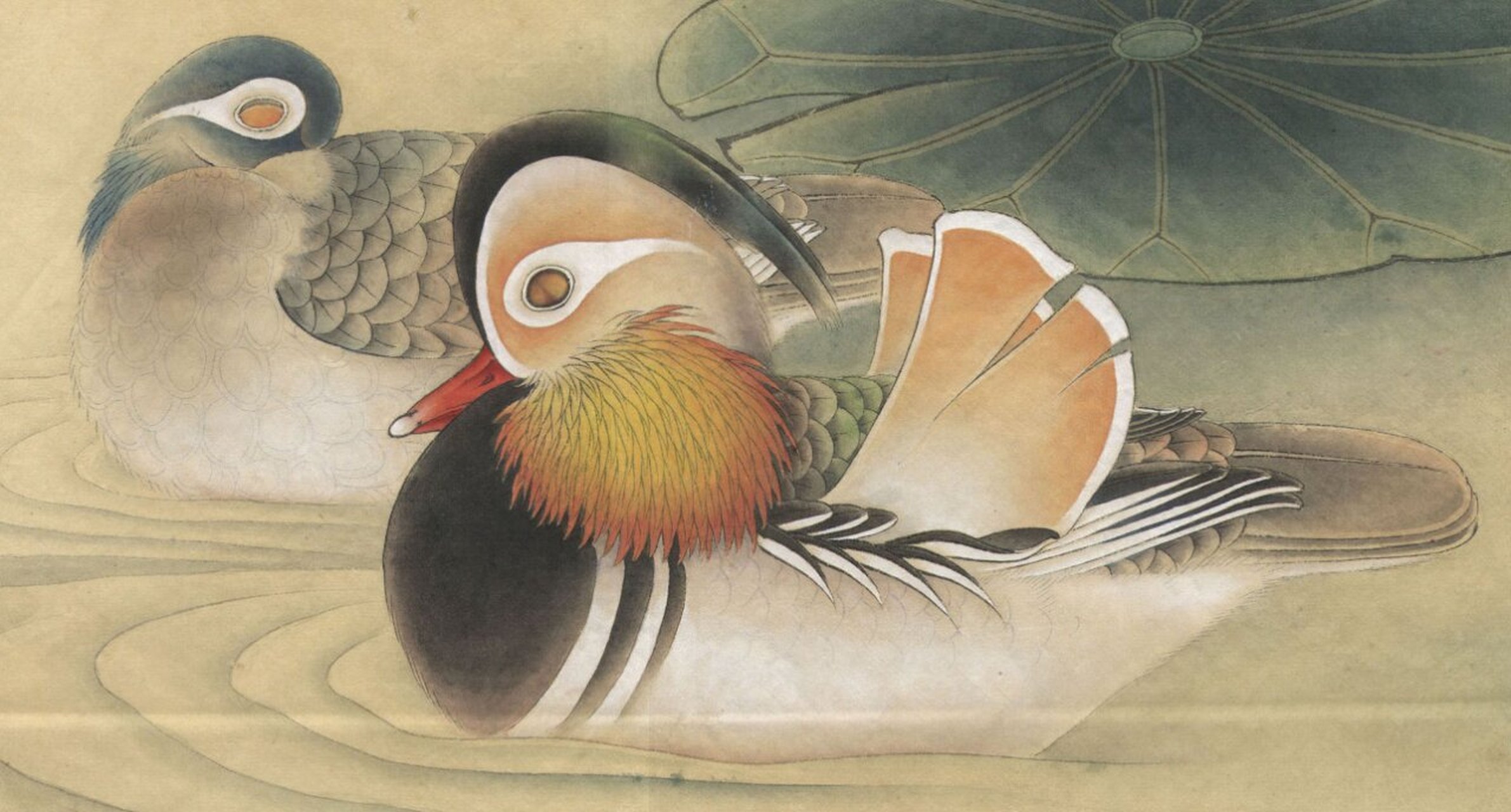 工笔画步骤分享(鸟类设色步骤——鸳鸯) 概述:鸳鸯是亚洲的一种亮斑冠