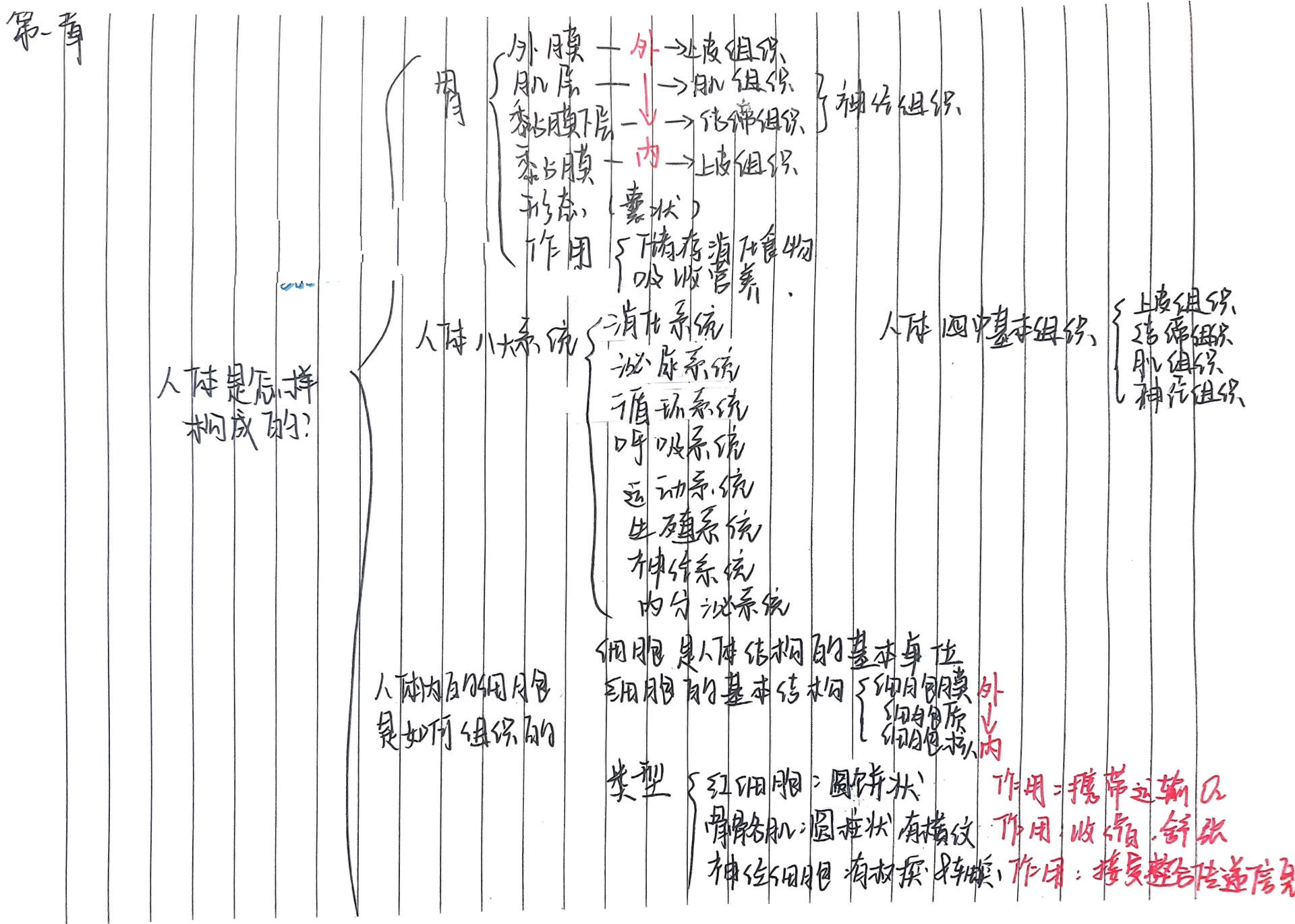 沪教版生命科学八上第一到第三章思维导图