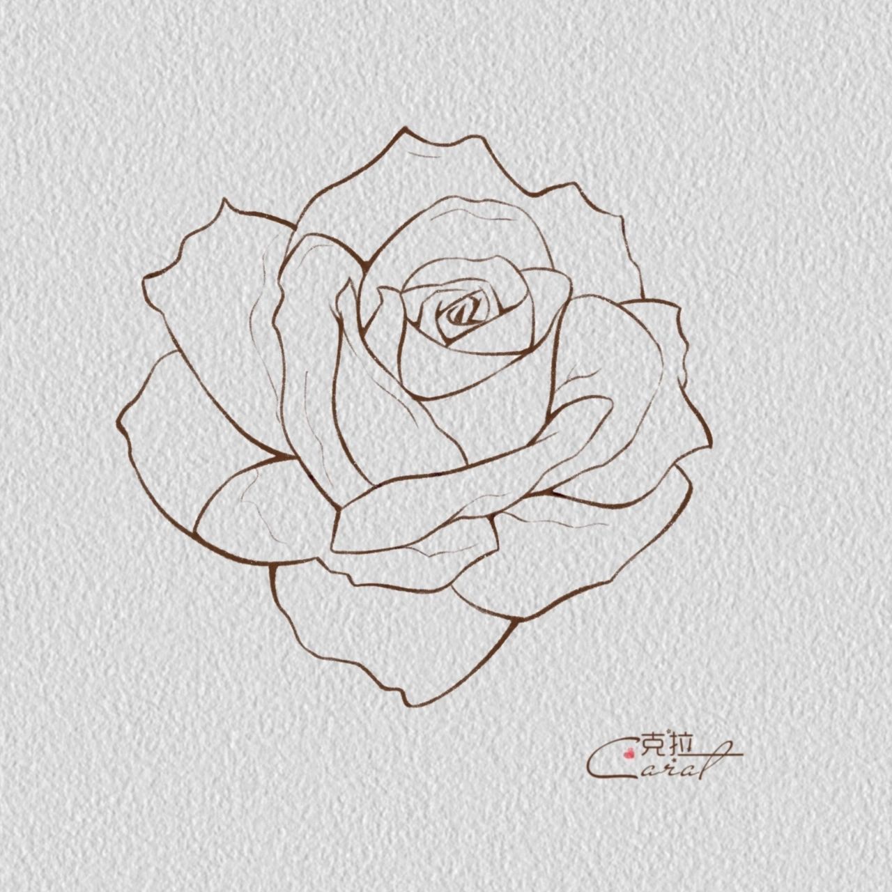 玫瑰花~ 玫瑰花