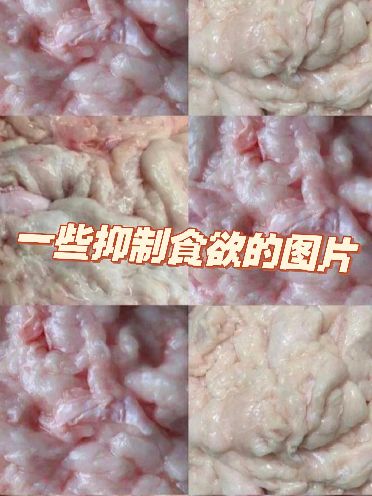 一些抑制食欲,增强减肥动力的图片 坚持不下去了就来看看