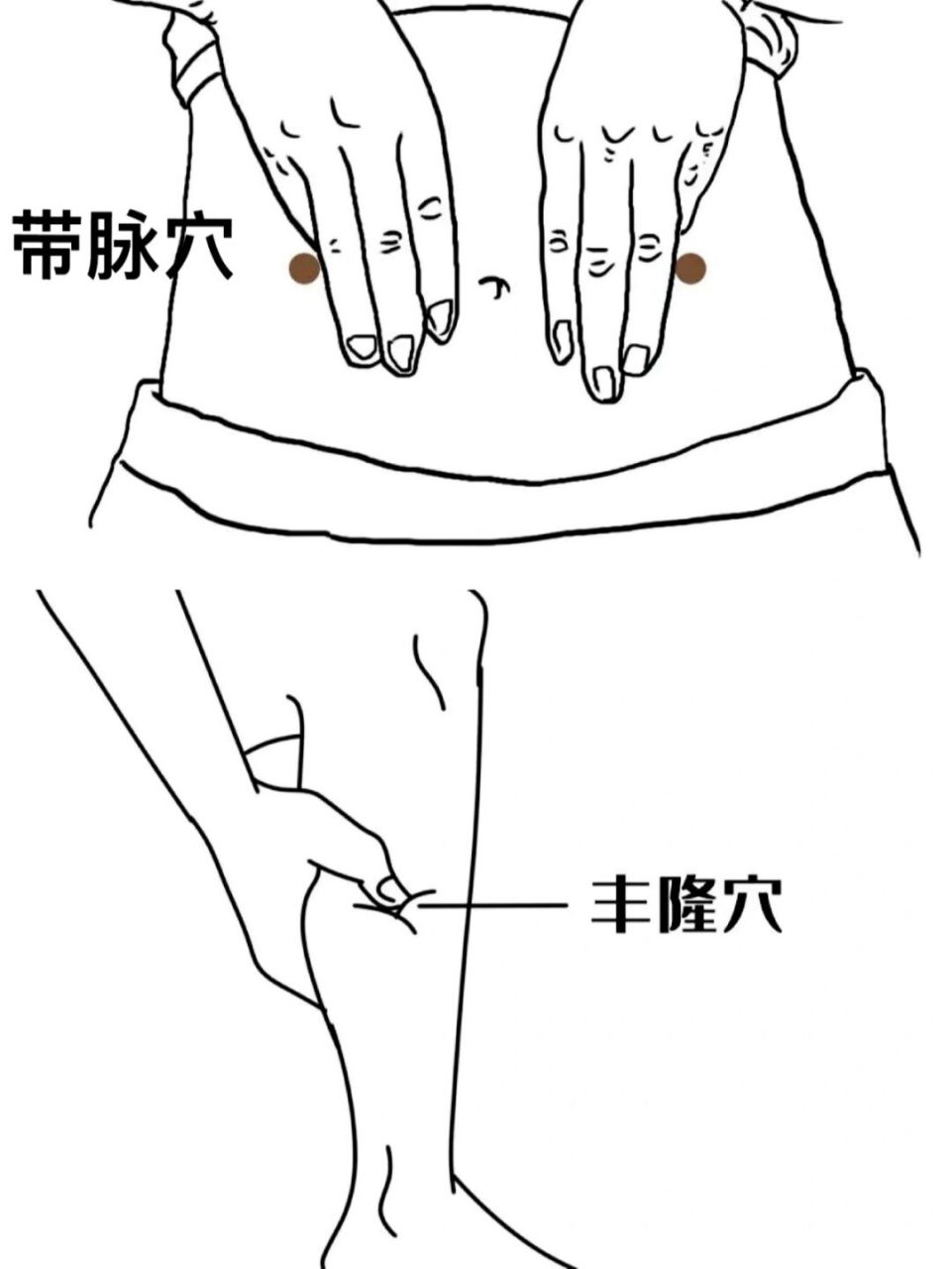 带脉的准确走向位置图图片