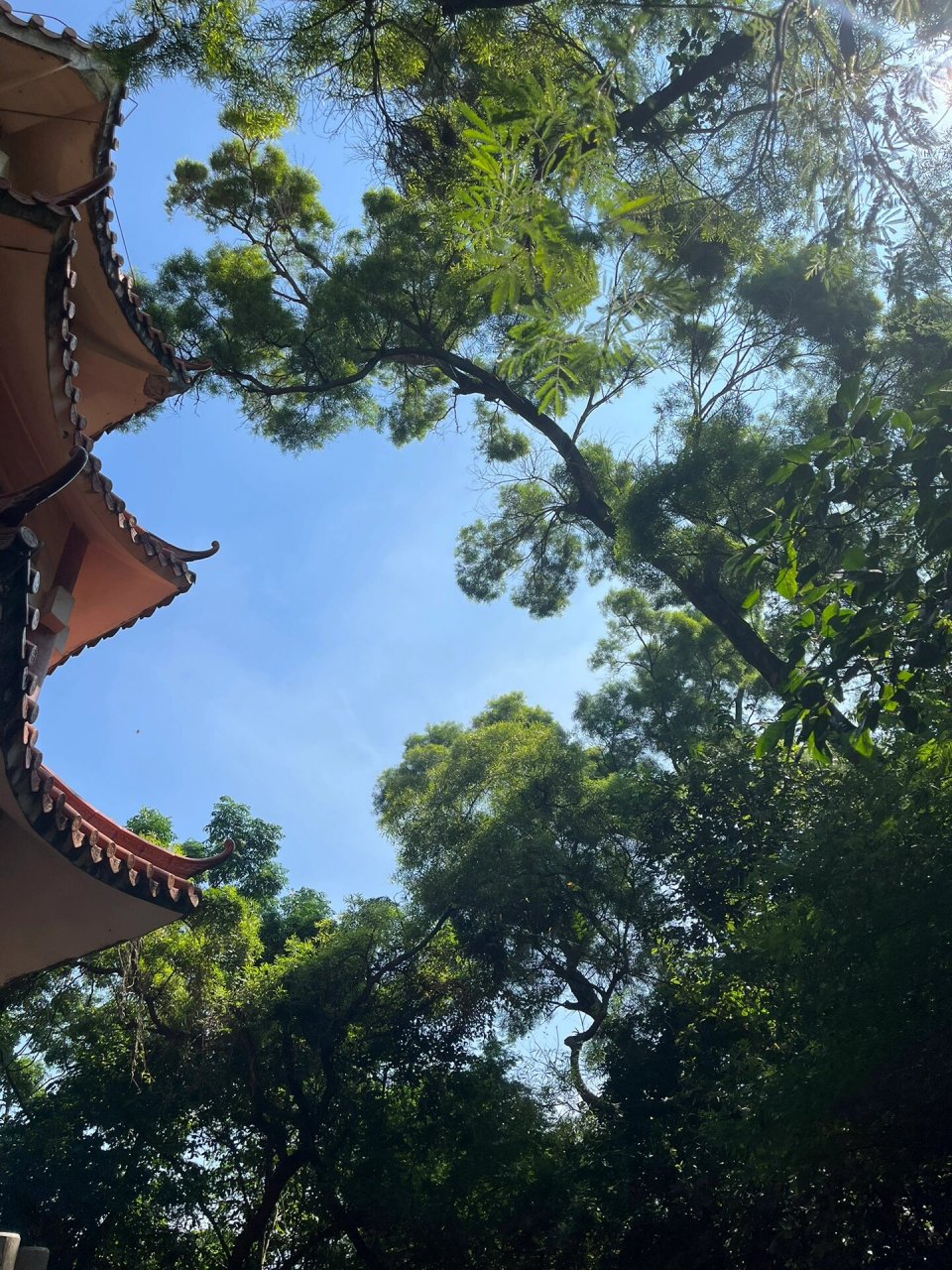 中山遛娃好地方-坦洲山公园 这个山不高,带着娃爬上爬下大概2个钟,有3