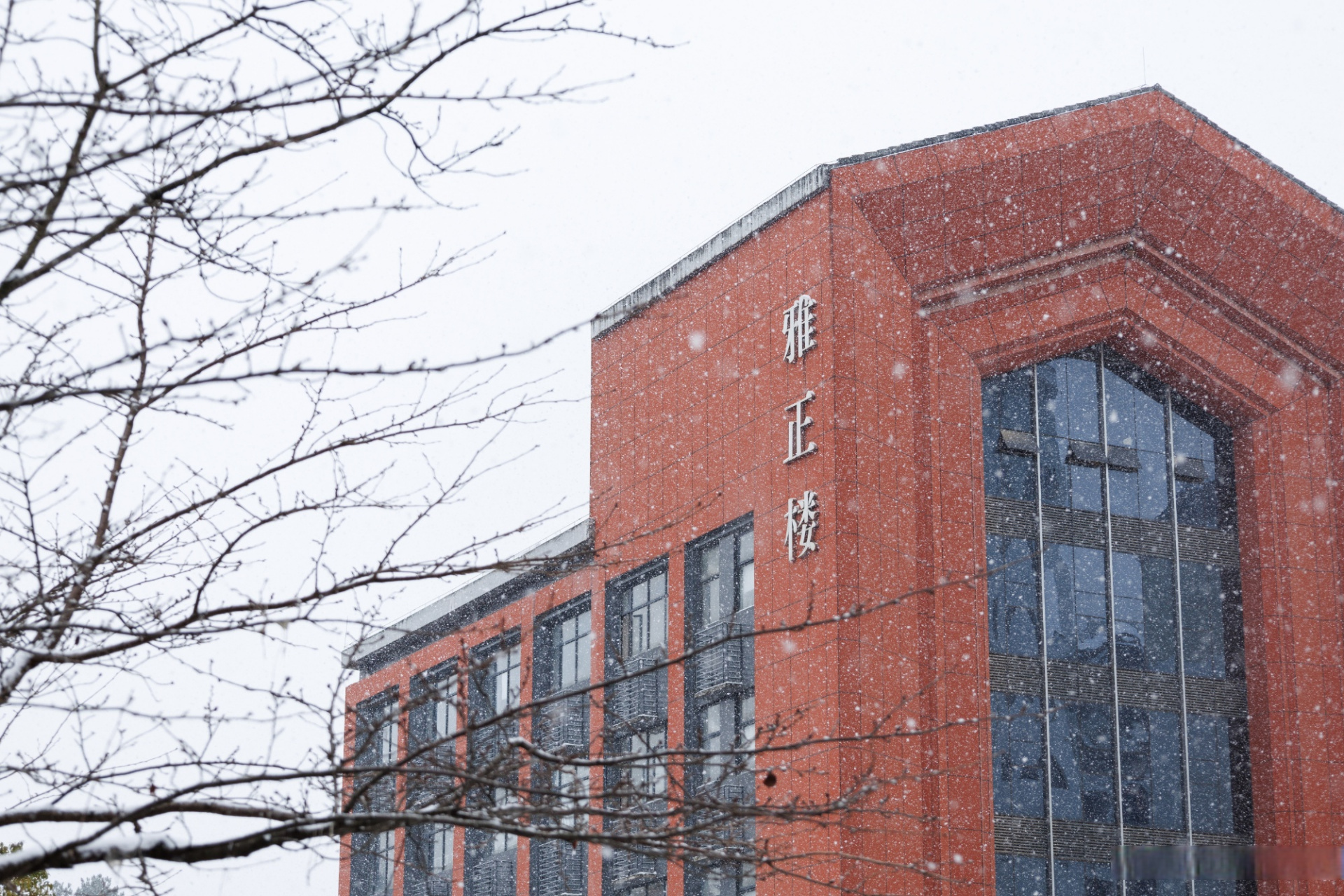 最美不过下雪天,冬日的贵州大学 校园里,拥有着这份雪的浪漫,快跟小