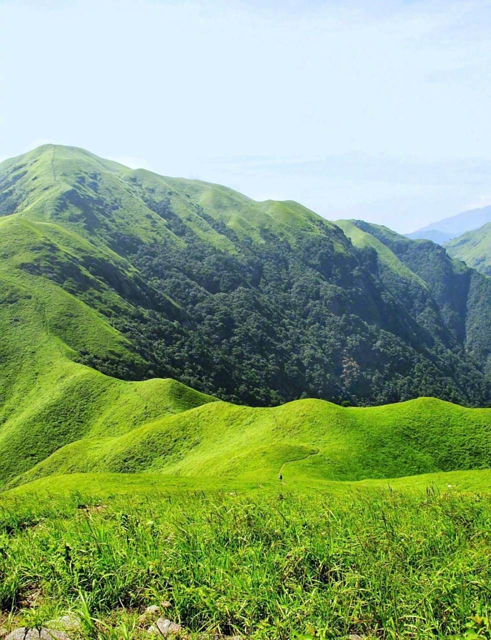 武功山高山草甸 春日青翠如毯·秋时芦花摇曳