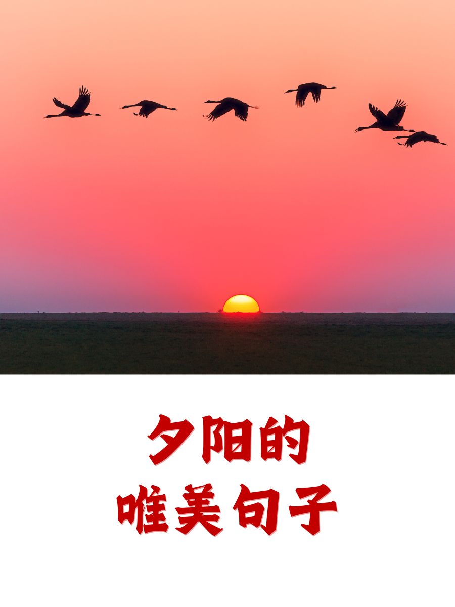 落日夕阳图片唯美句子图片