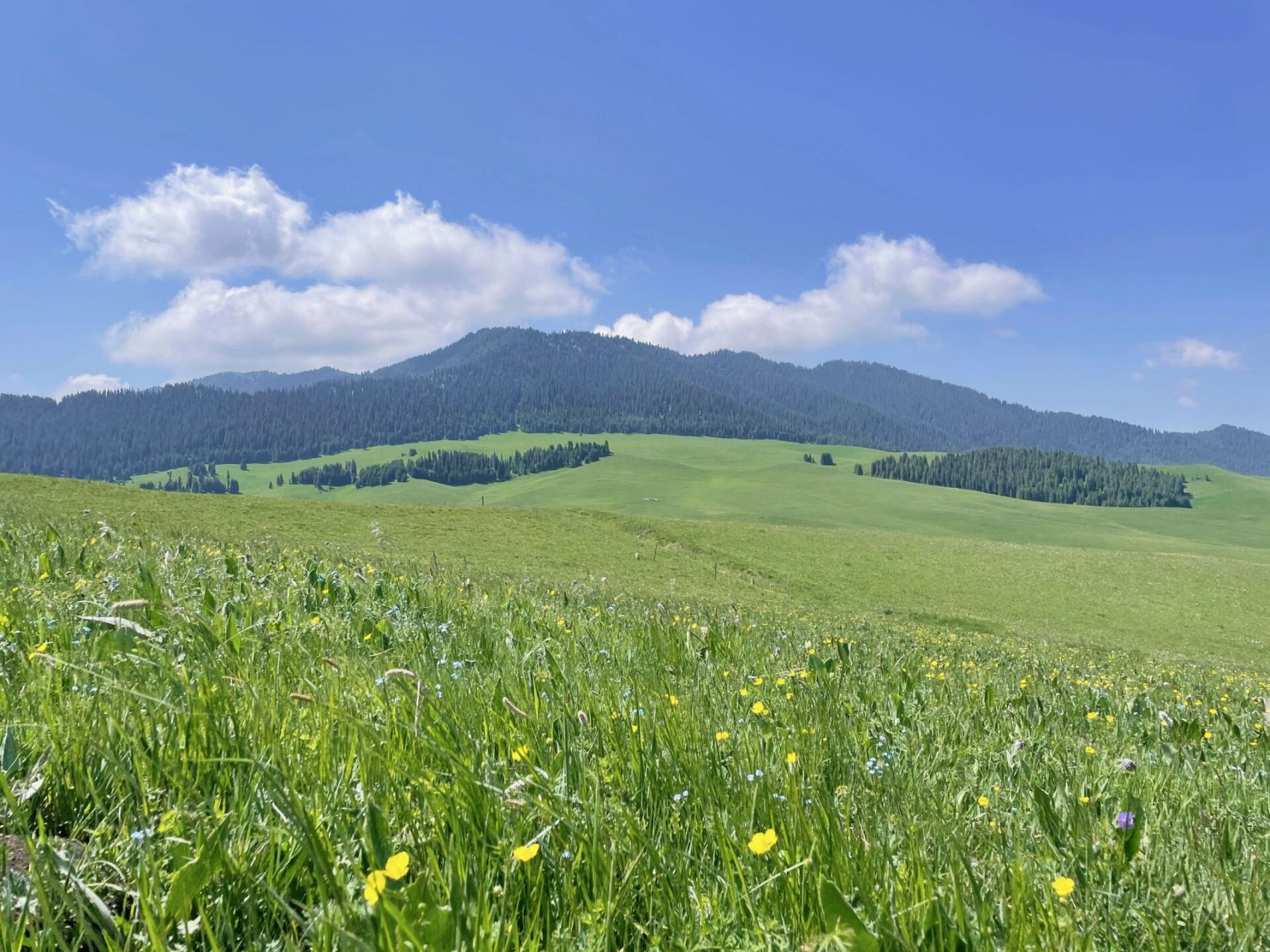 21昭苏野狼谷超级值得 野狼谷位于昭苏县郊区,伊昭公路接近昭苏的小众