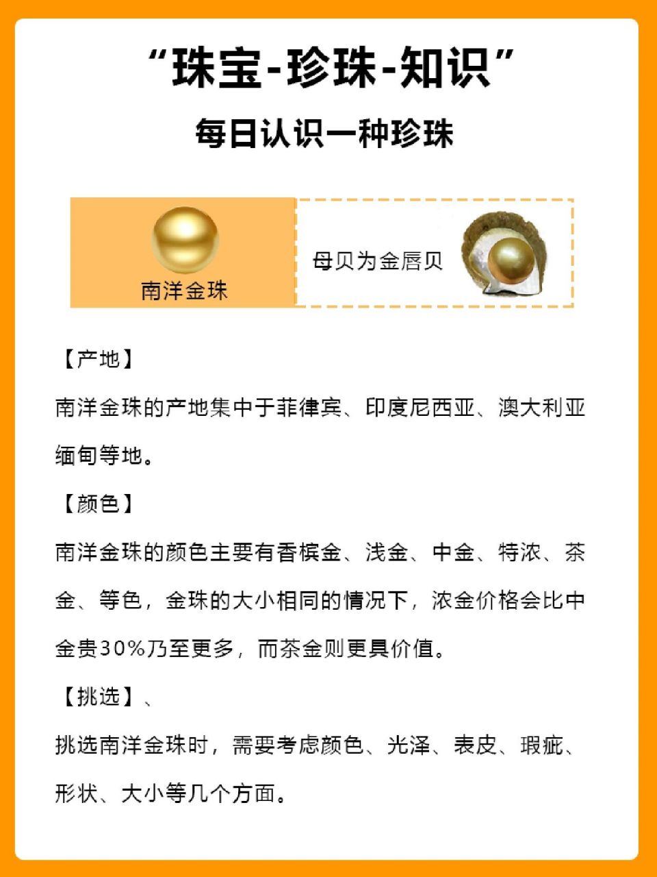 每日认识一种珍珠——南洋金珠,珠宝科普!