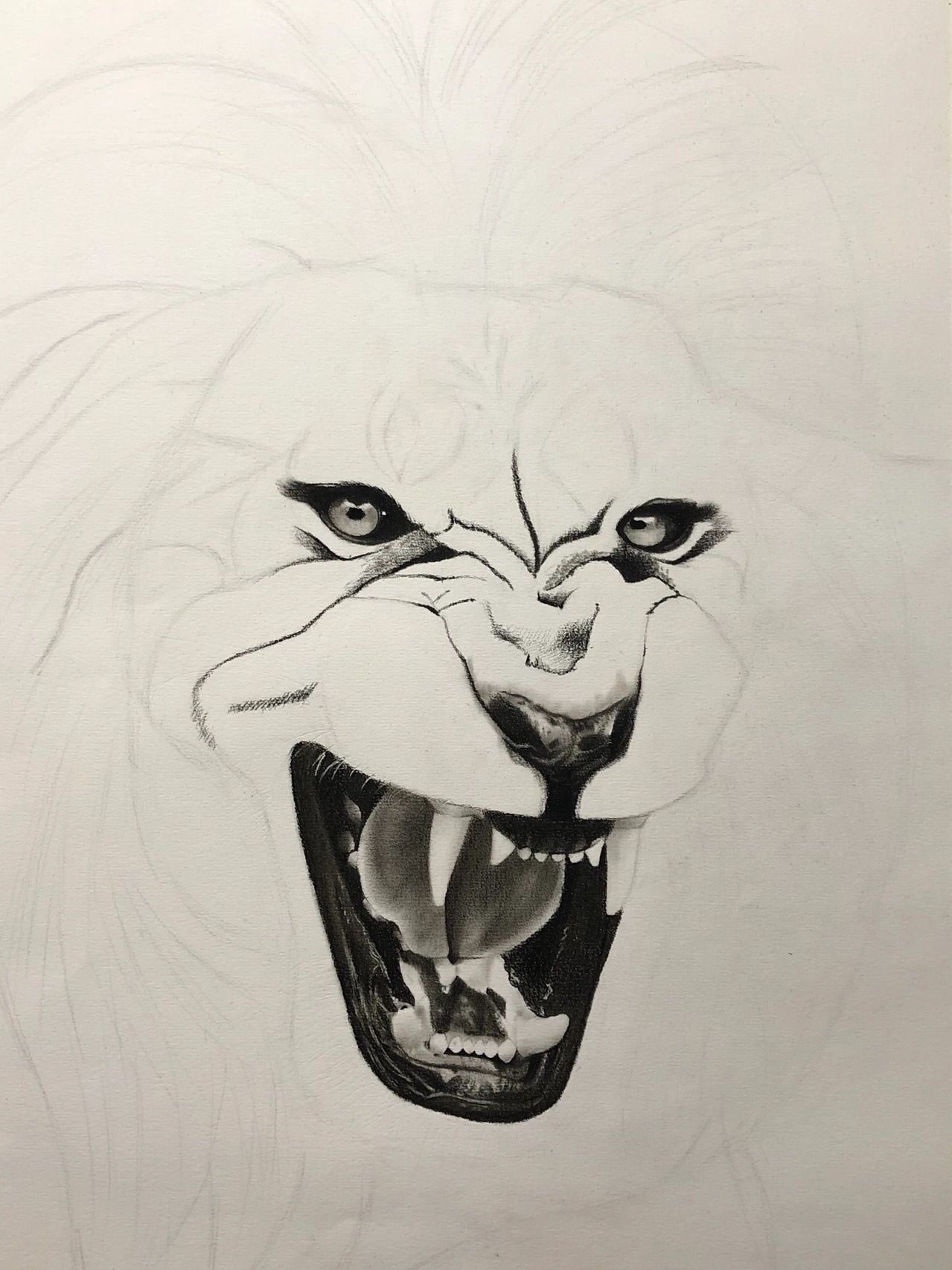 【素描动物】狮子03一只正在怒吼的雄狮