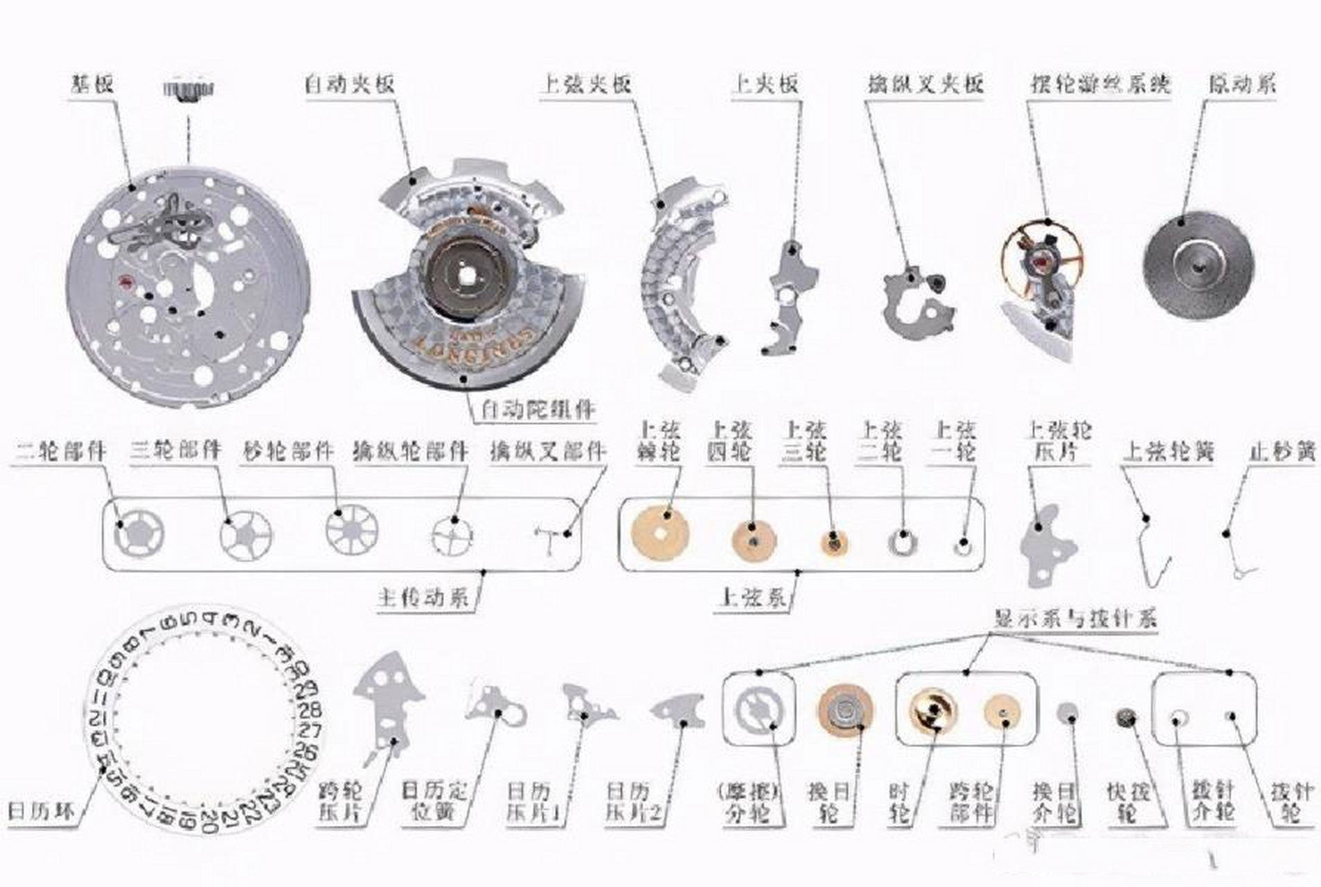 手表组成部分图解图片