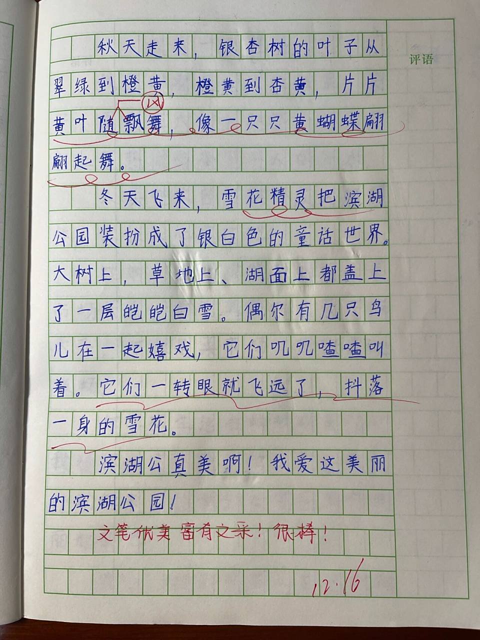 三年级作文《这儿真美》