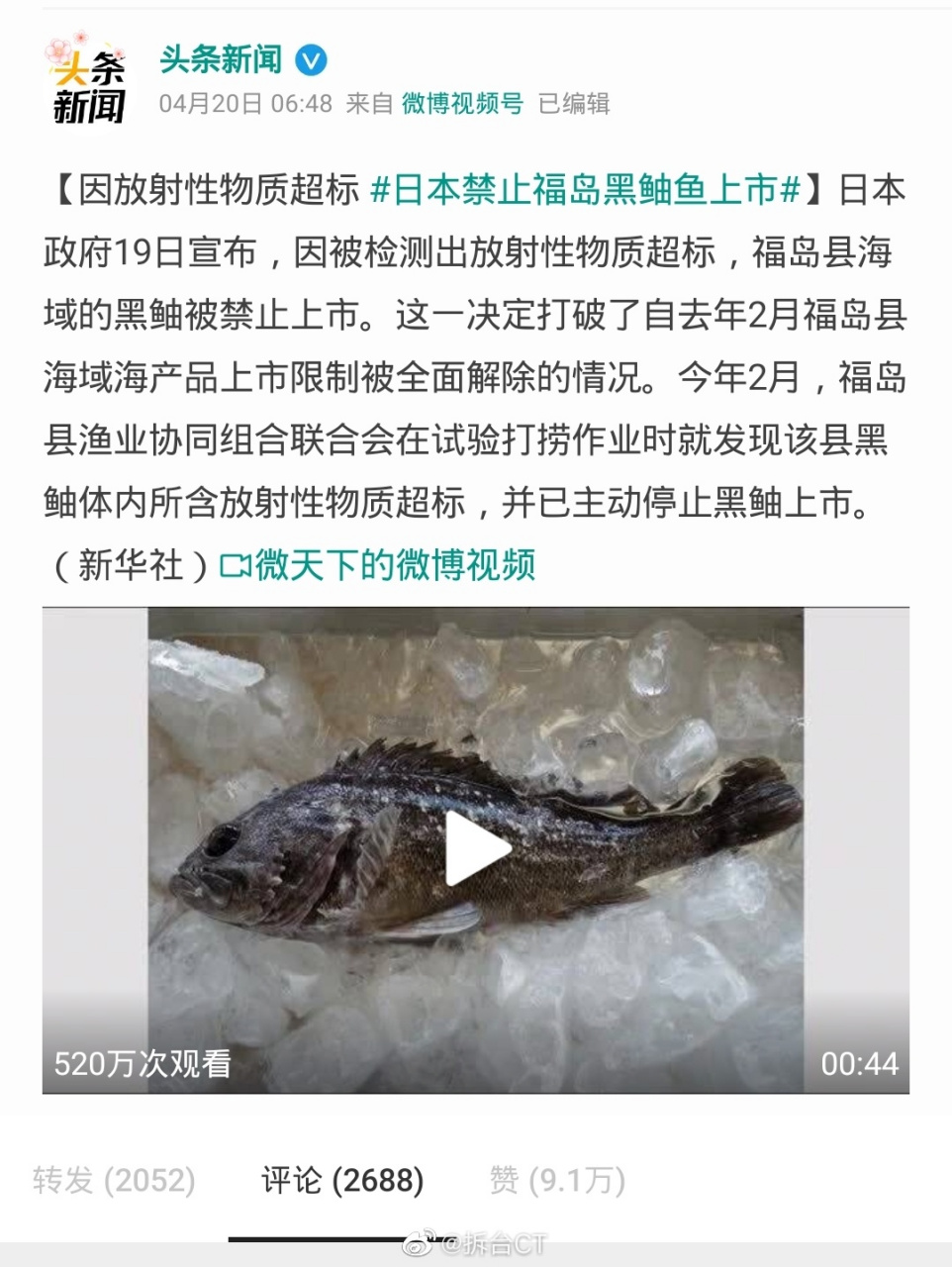日本禁止福岛黑鲉鱼上市#  废水还没排多少,就有鱼类因为放射性物质