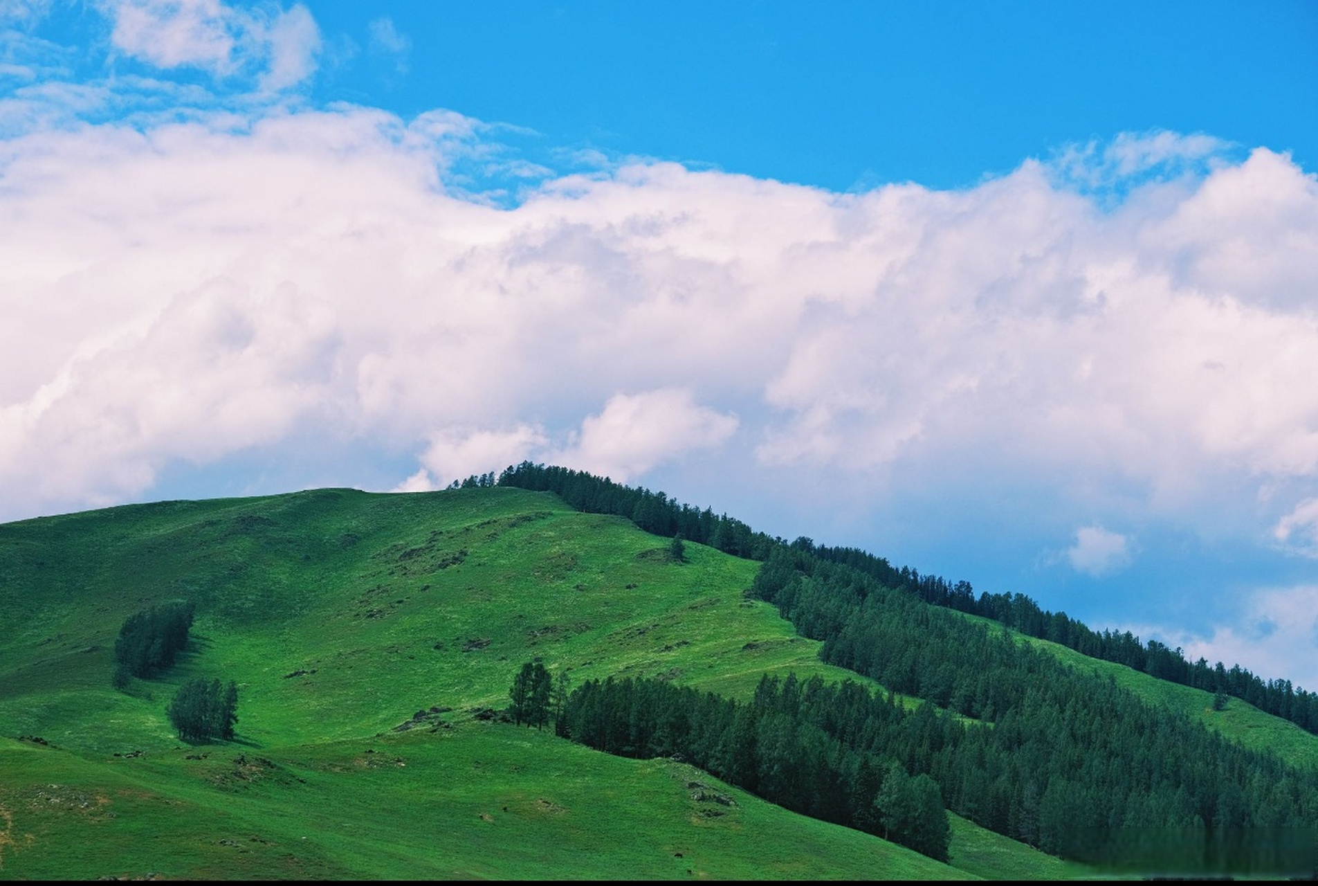 旅行##夏天的100种绿色##超话创作官# 托勒海特位于新疆阿勒泰地前ⅱ