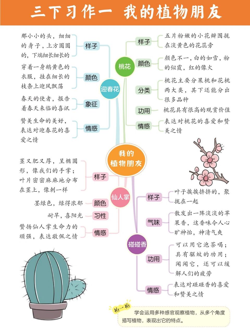 3-6年级习作一思维导图,新鲜出炉 同学们,习作一有思路了吗?