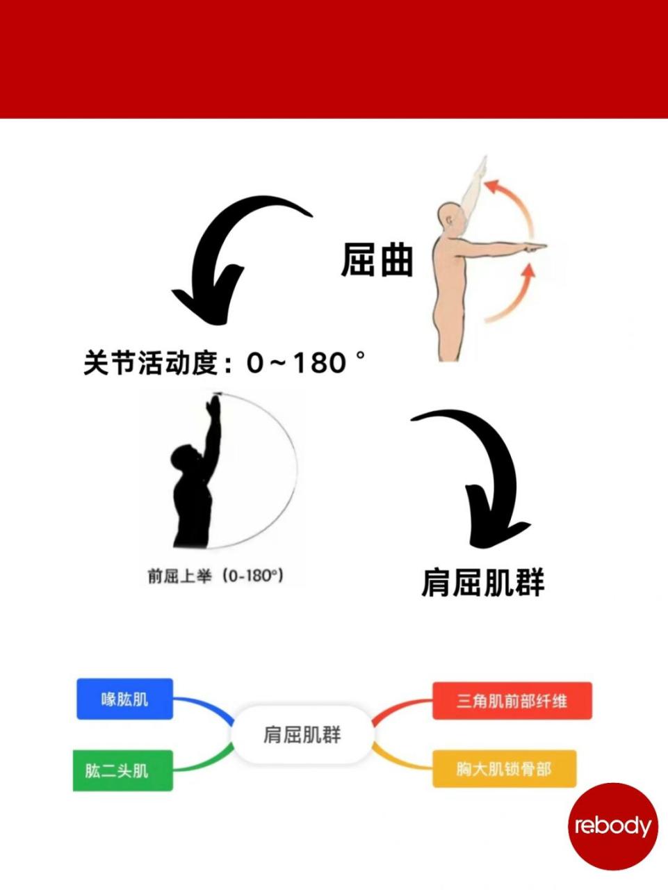 肩关节屈曲90度示意图图片