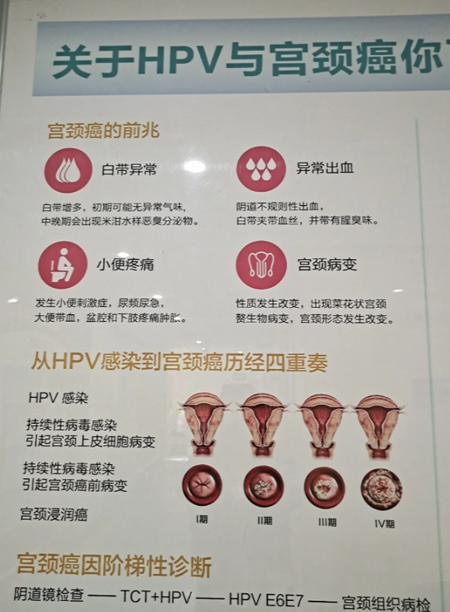 hpv病毒就是人乳头瘤病毒,属于乳多空病毒科的乳头瘤空泡病毒a属