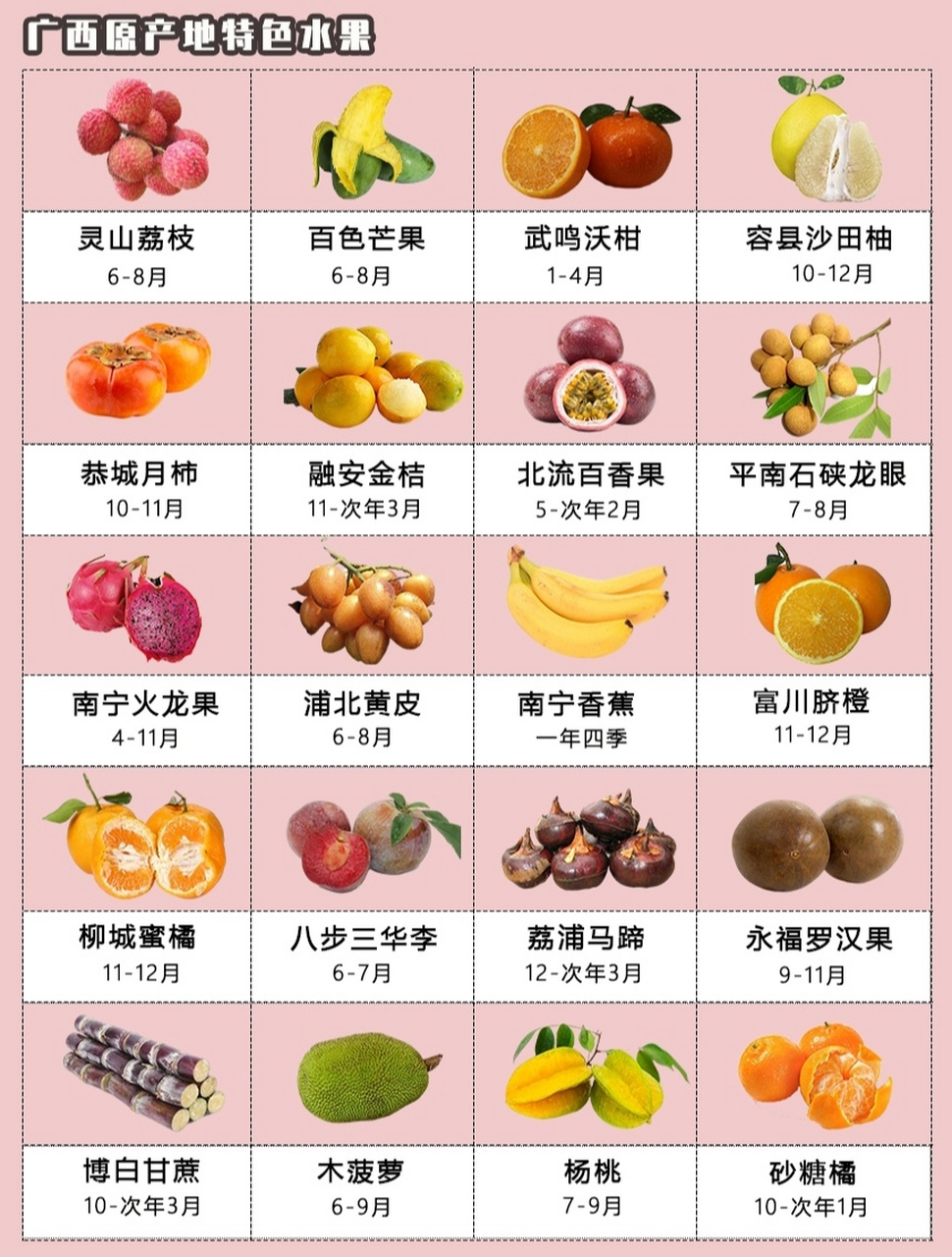 各种水果也开始陆陆续续成熟 快来广西吃应季水果 93【灵山荔枝 