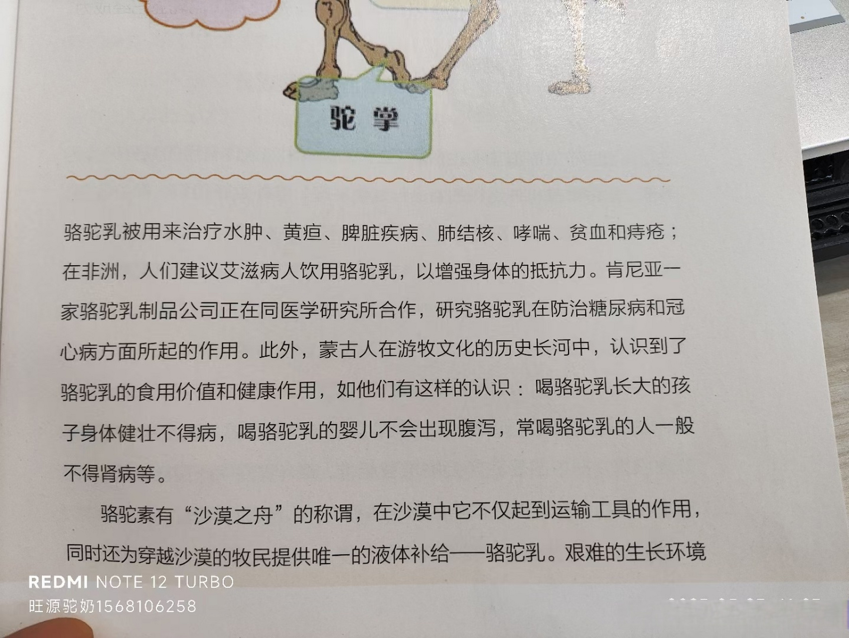 旺源驼奶##新疆骆驼奶