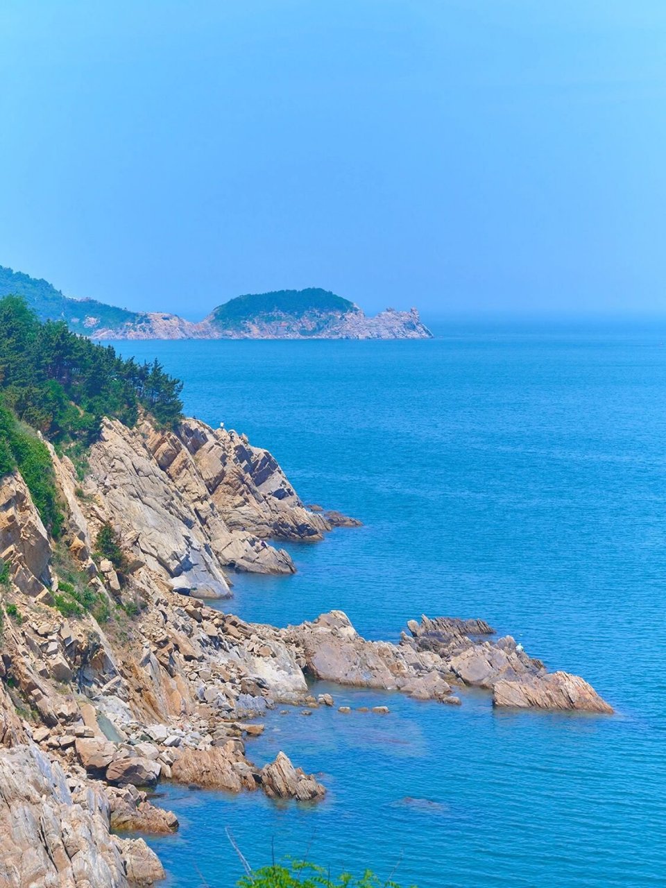 带狗旅行|威海(二)猫头山环线 78分享几个小狗在蓝星球的点滴78