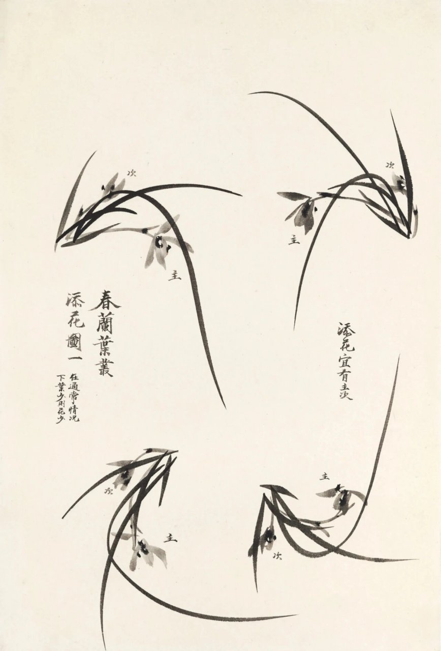 兰花画法 95兰要站着画,选兼毫毛笔,执笔靠上,挥洒自如 95要有