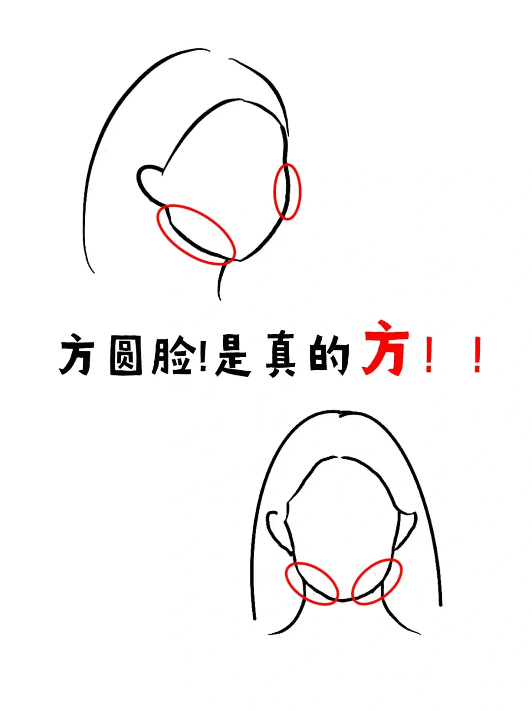 方圆脸