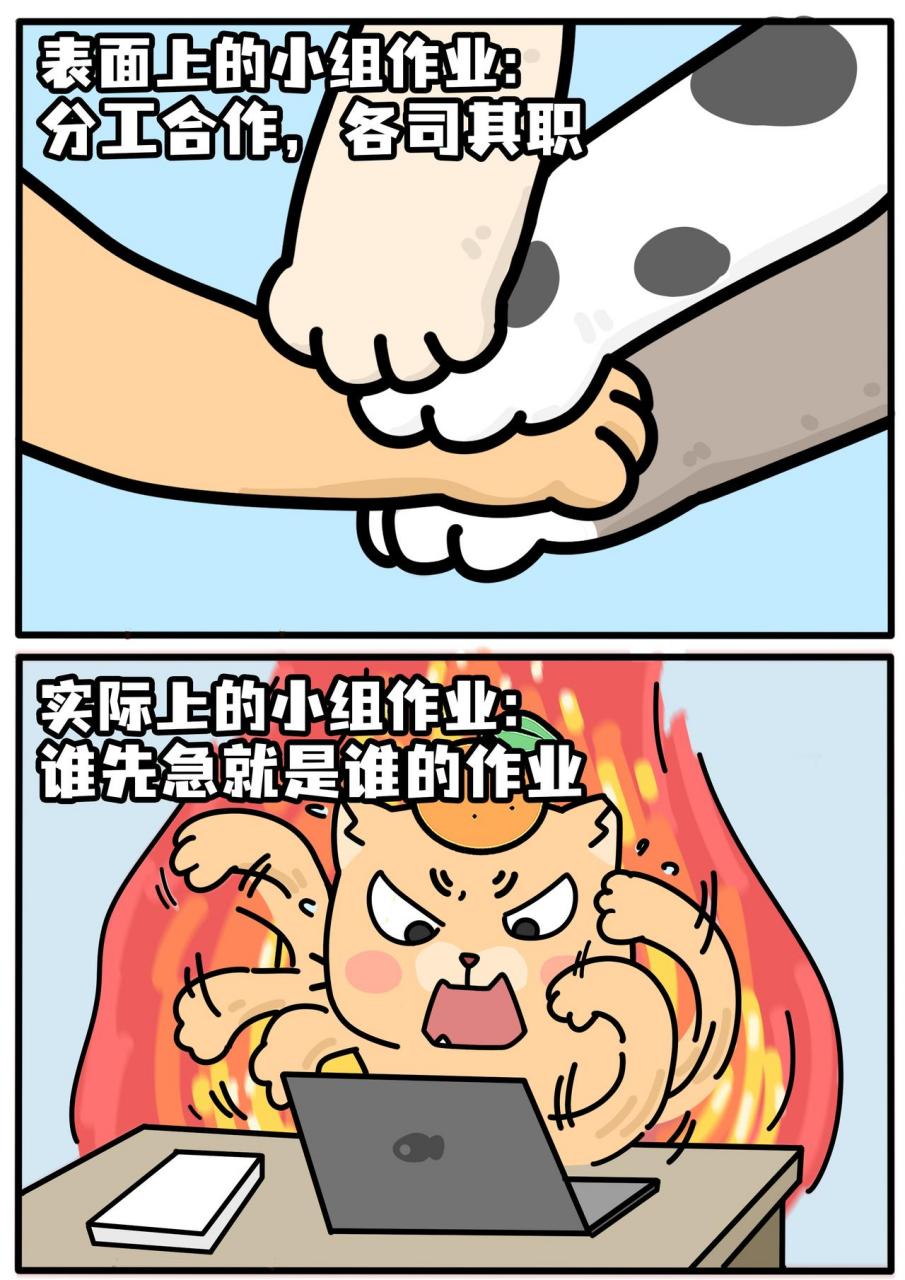 小组作业大学生搞笑表情包
