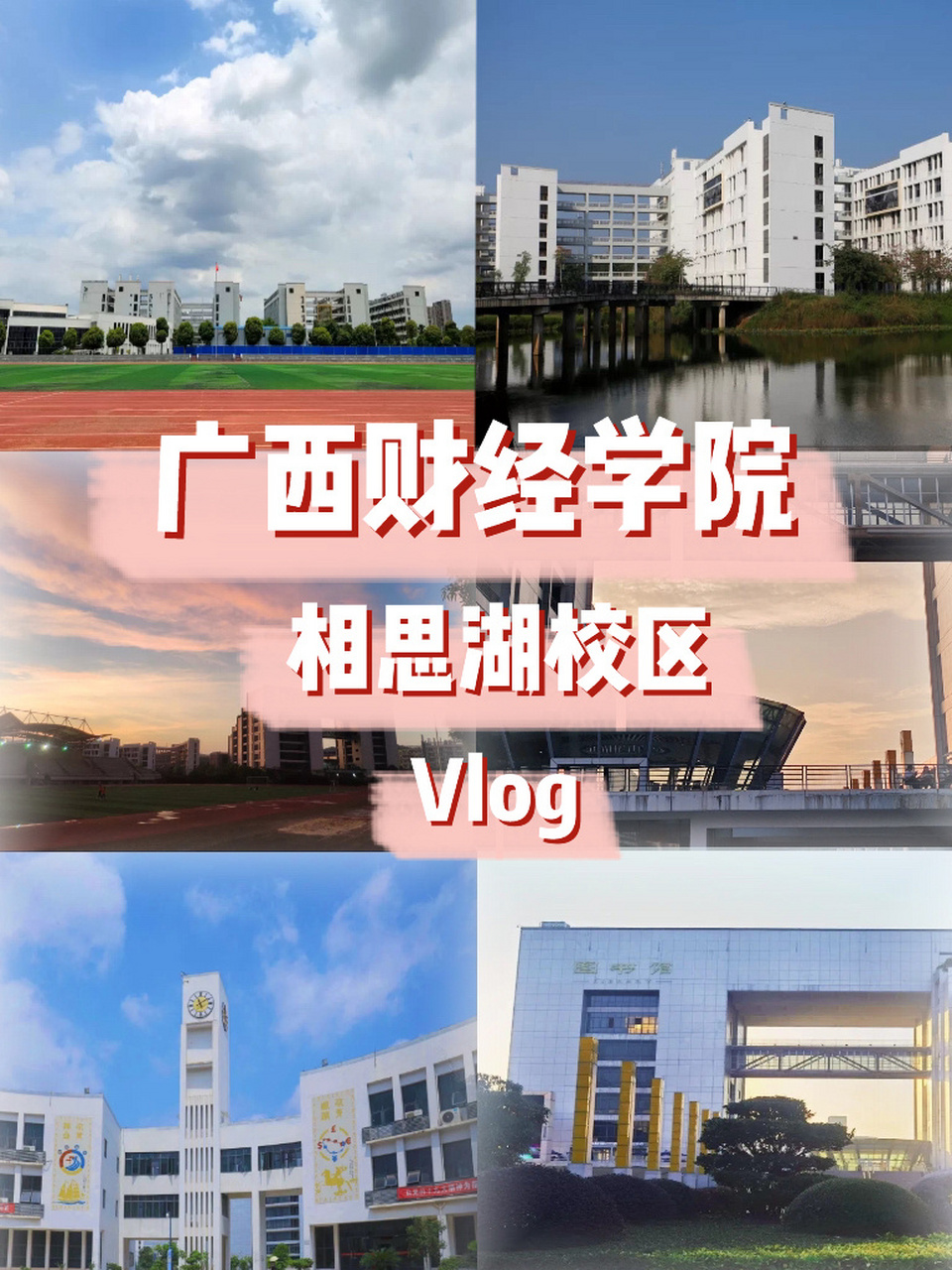 广西财经学院logo图片图片
