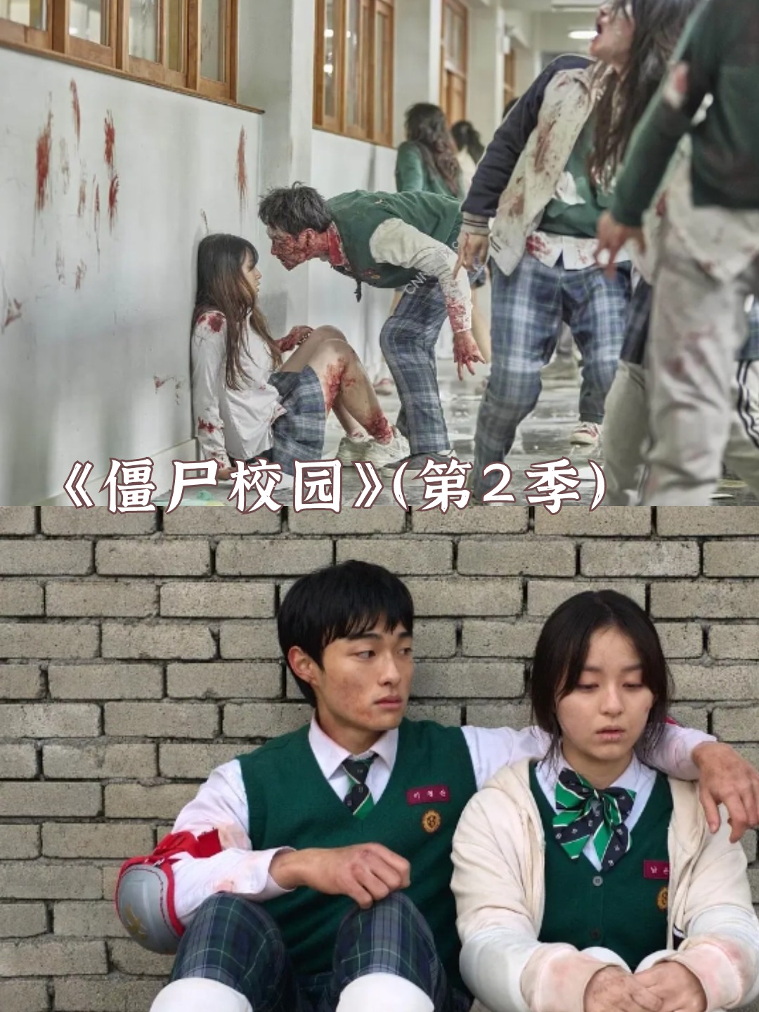 如果你对这些不死生物有着无法抗拒的热爱,那就不要错过这些电影啦!