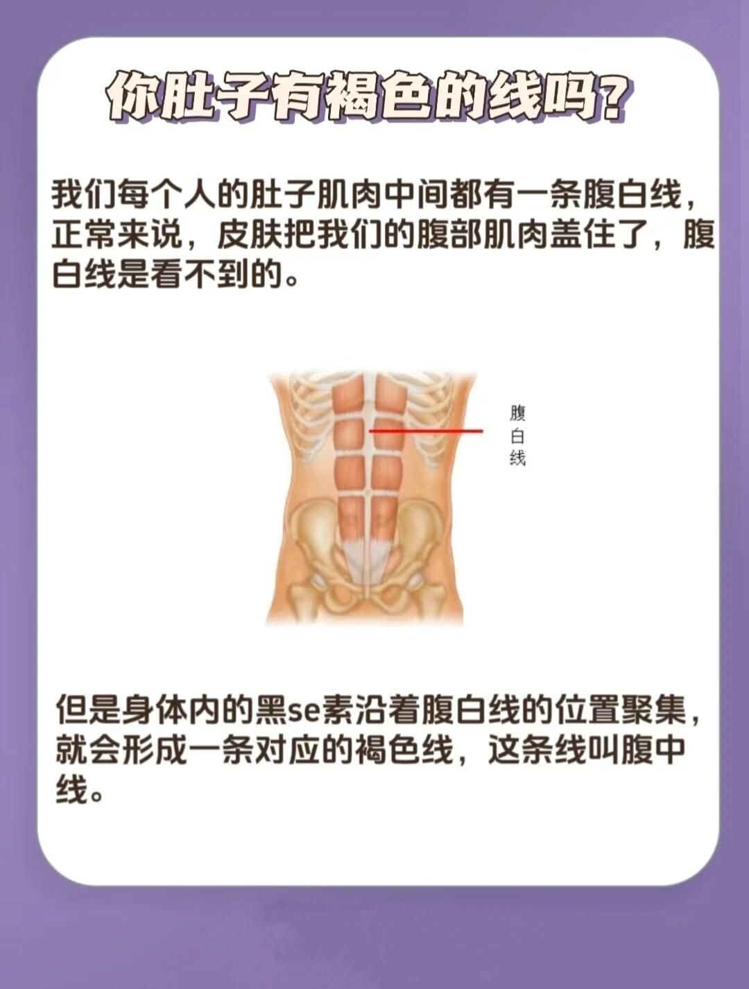 正常女孩腹中线图片图片