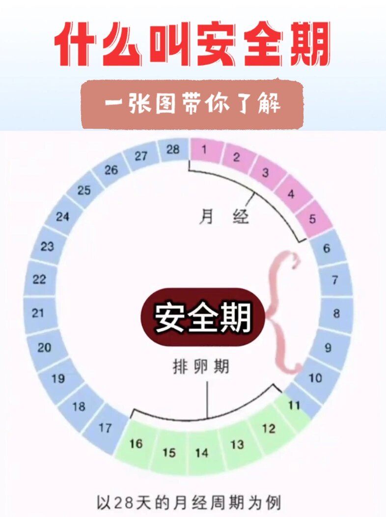 安全期是指女性月经周期中排卵前后的时间段,此时同房怀孕的概率较低