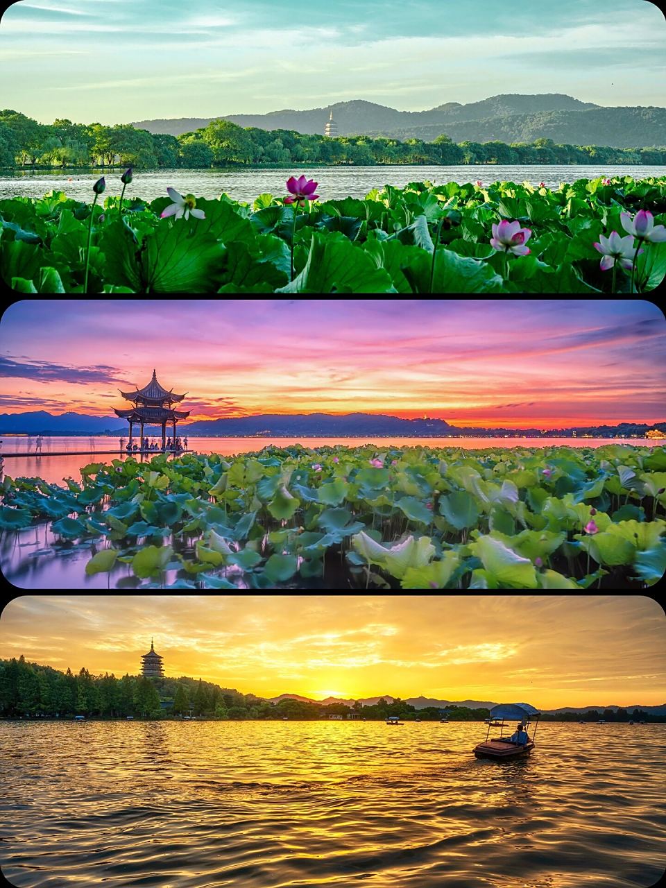 路过西湖的春夏秋冬 不知不觉玩摄影一年多了,看过西湖的很多美景