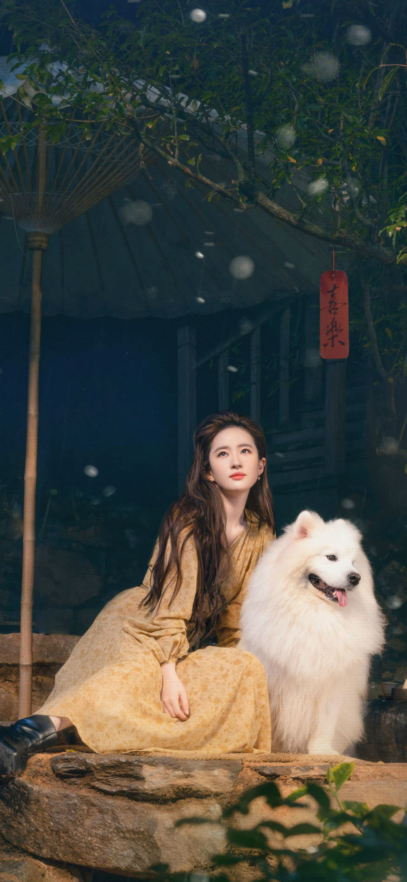 刘亦菲高清手机壁纸分享  #无水印壁纸# /#刘亦菲