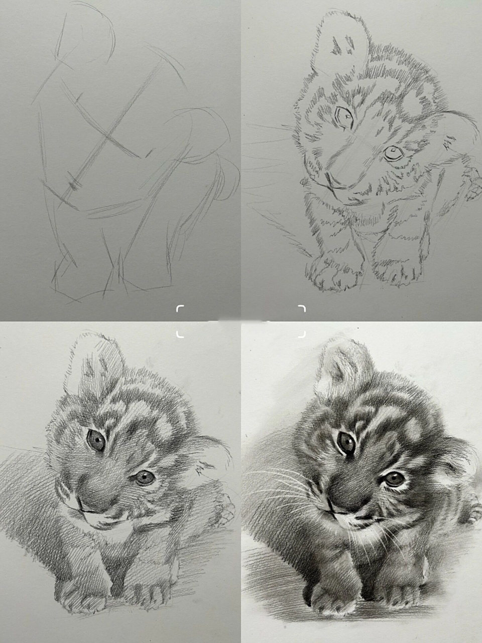 画个小老虎 素描动物 果然幼崽就是很可爱 ,喜欢的同学赶紧画起来 有