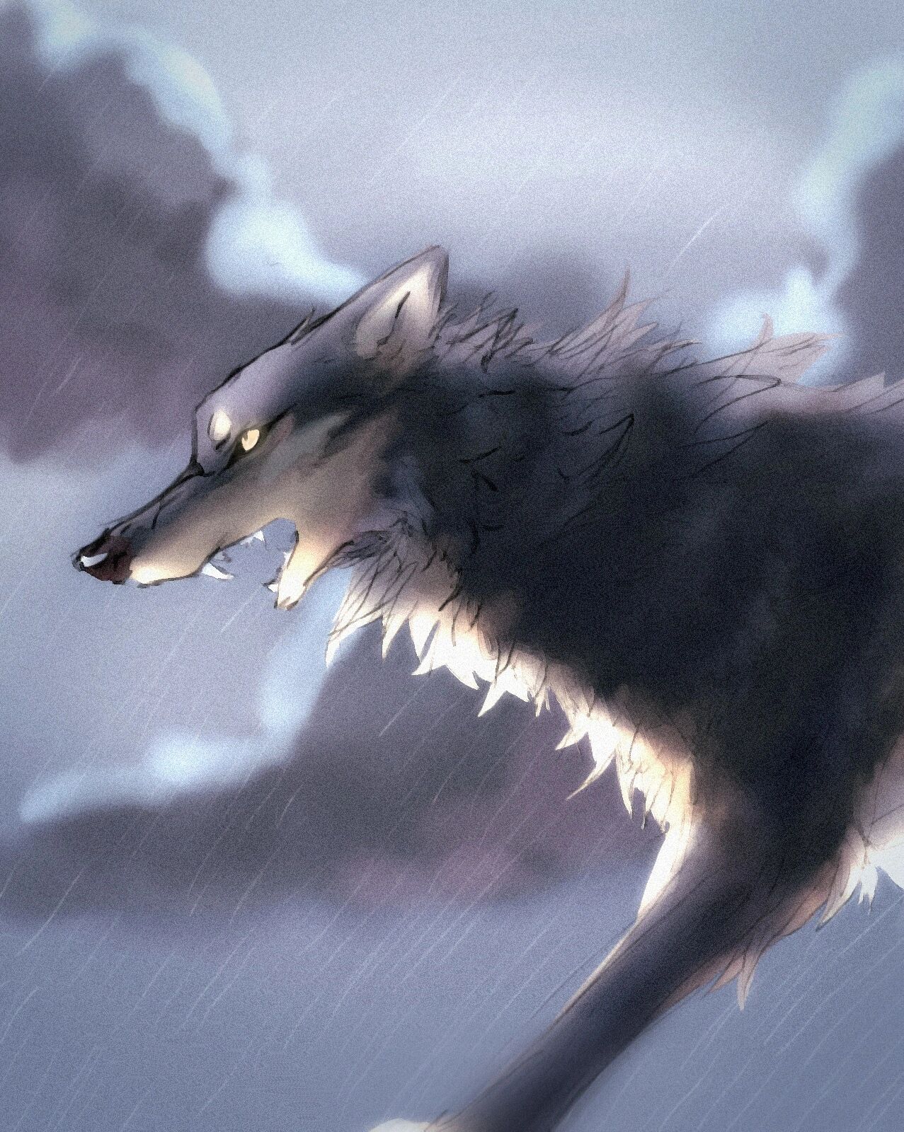 《狼王梦》一一双毛