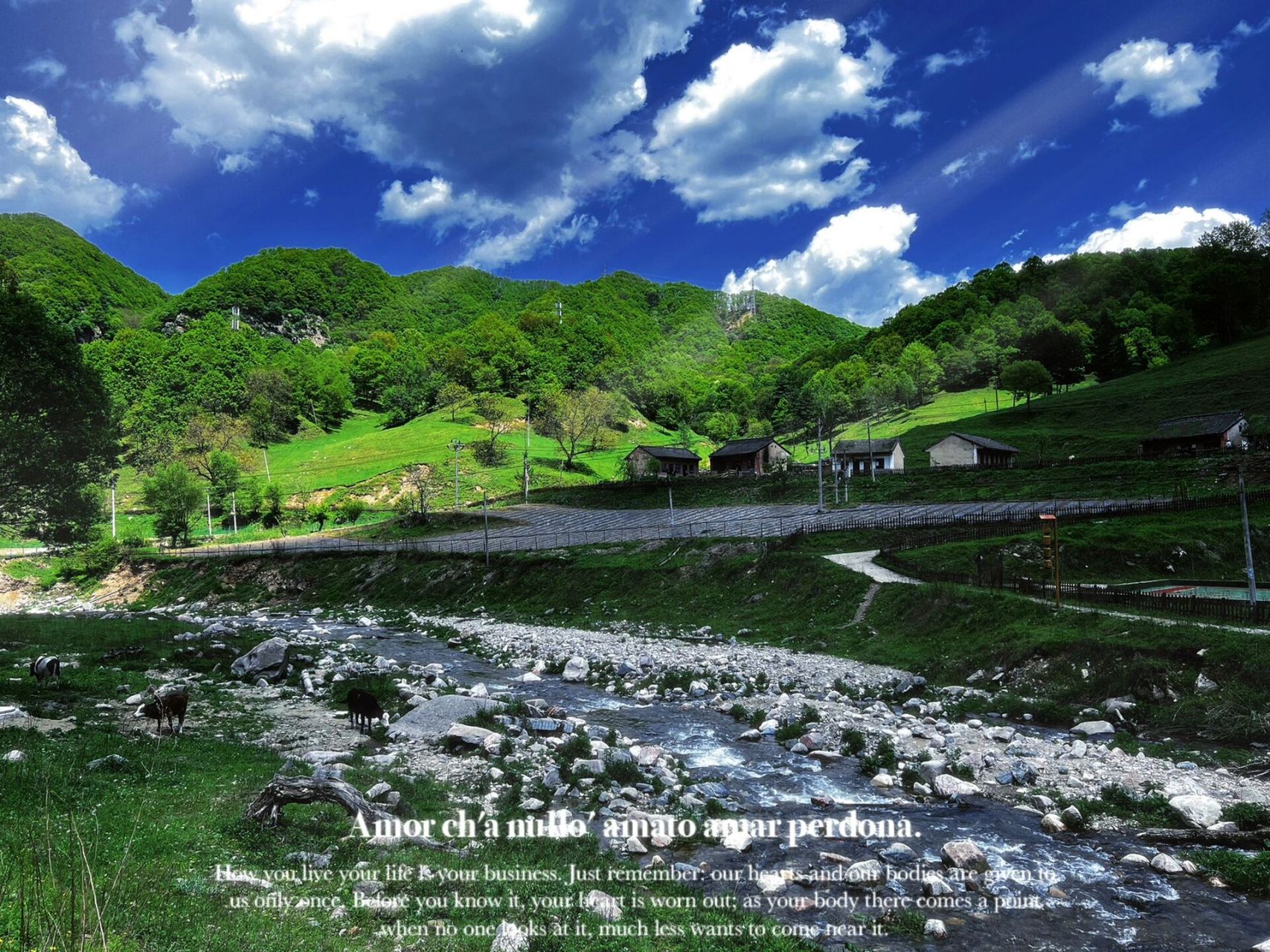 关山牧场一日游攻略 | 自驾游 周末自驾游去了关山牧场,体验感真的很