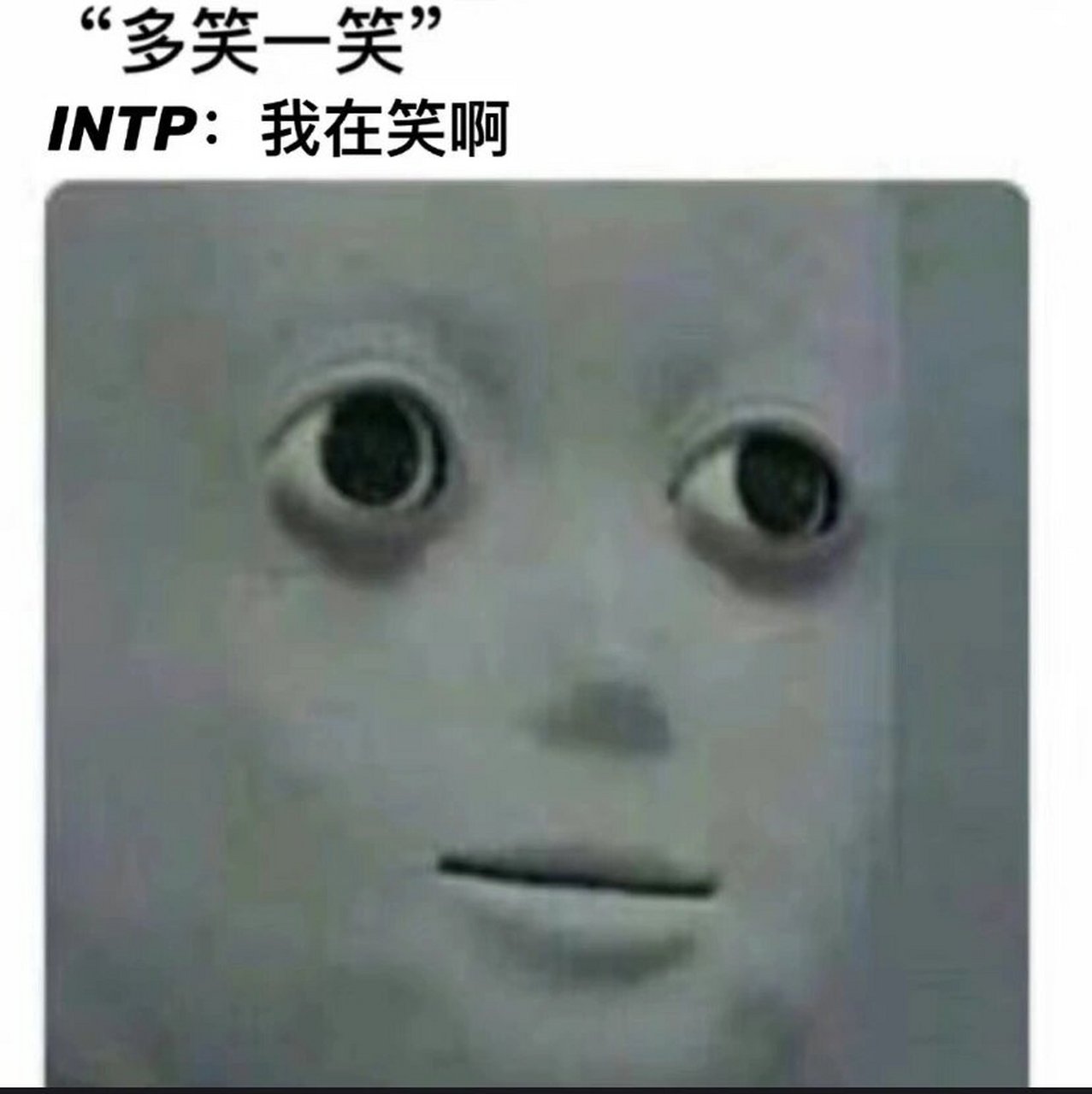 intp梗图片