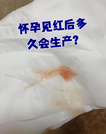 怀孕后出现见红,多数孕妇会在1~2天内开始生产