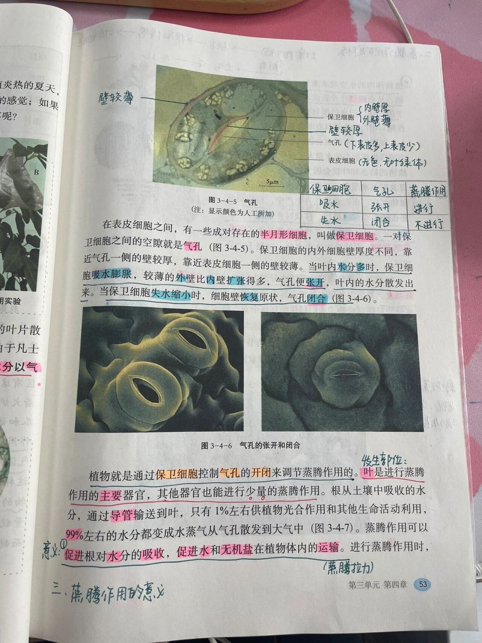 冀少版|八上生物|《蒸腾作用》 冀少版八上生物《蒸腾作用》 本节课重