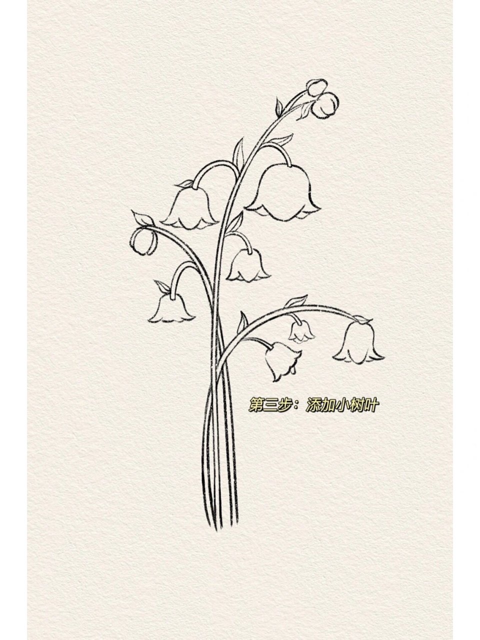 简单5步95学会画风铃花
