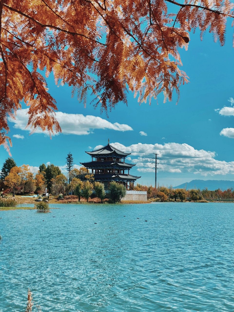 深秋的中济海公园真的美的像漫画 丽江秋季宝藏打卡点～中济海公园