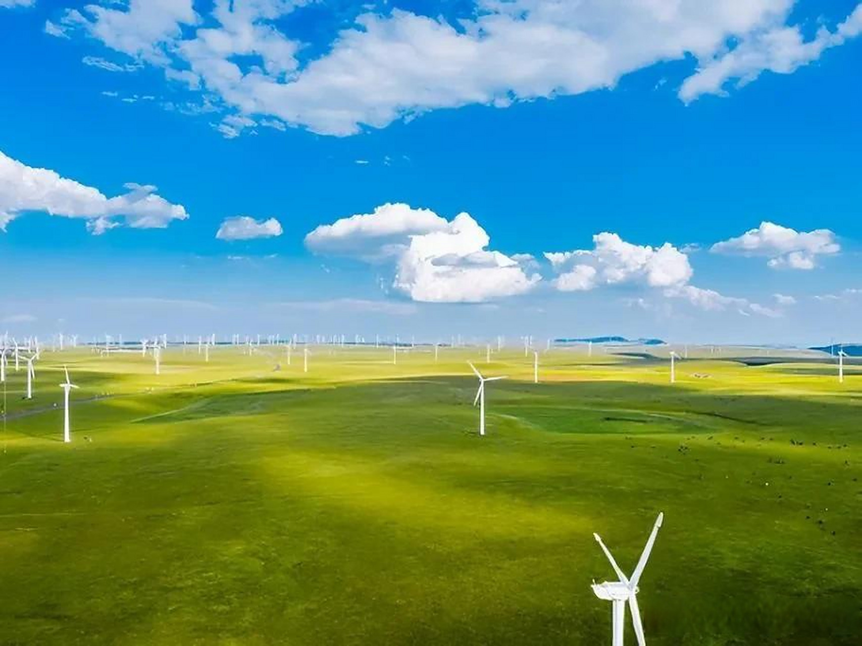 今日蚂蚁新村最新答案速查，一键获取全部正确选项，助你轻松完成每日答题任务，助力乡村公益持续前行