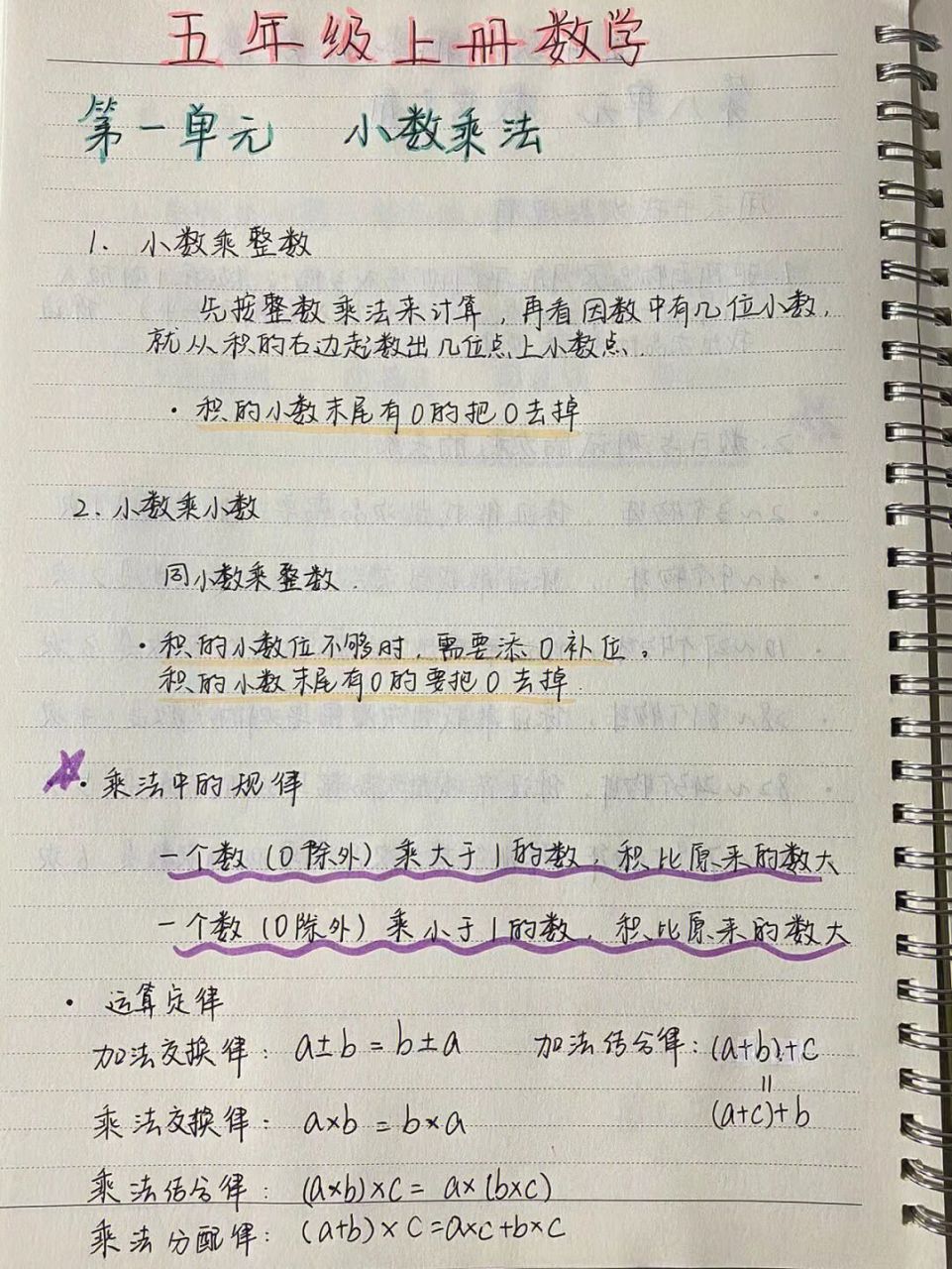 学霸笔记小学手绘图片