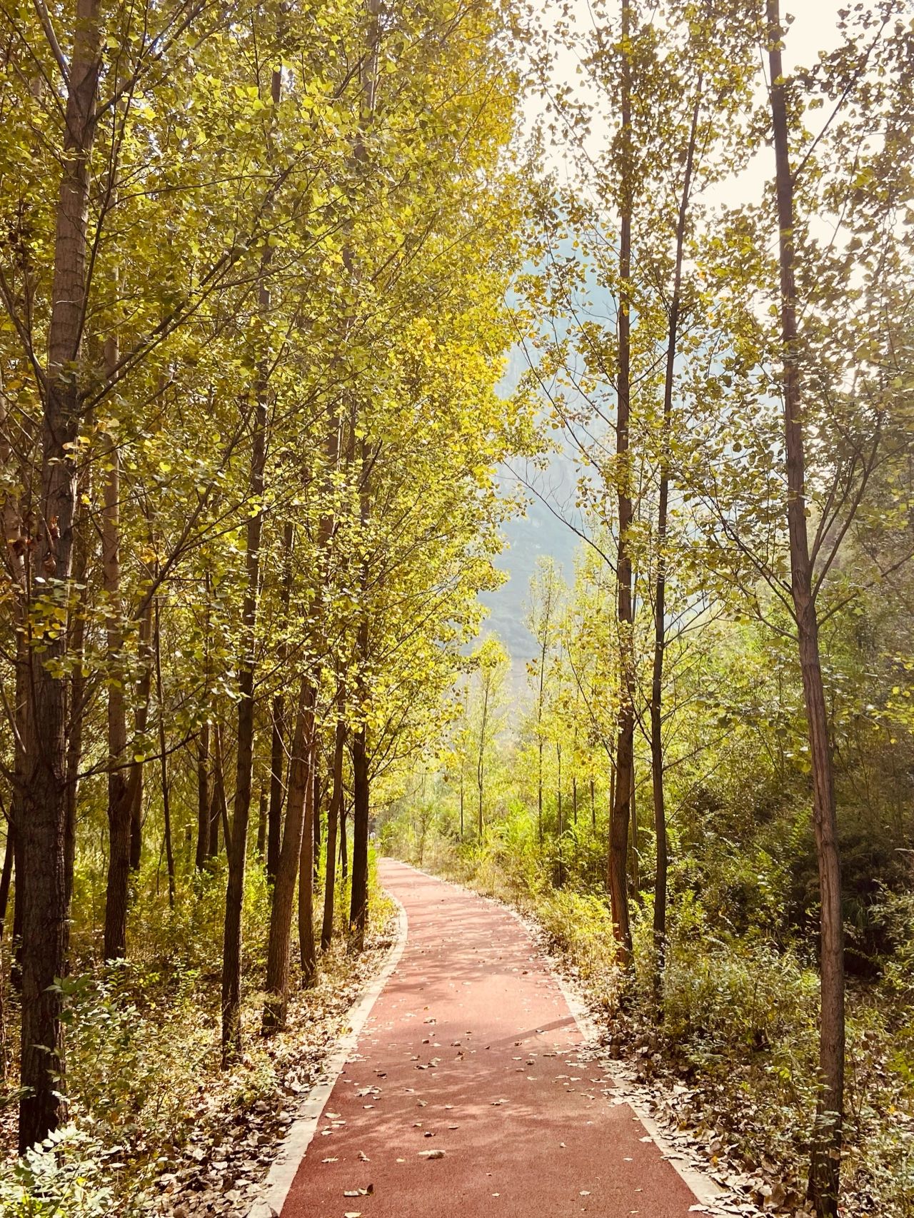 唐河大峡谷 早上从大同出发,车程两个小时左右,就来到了灵丘唐河大