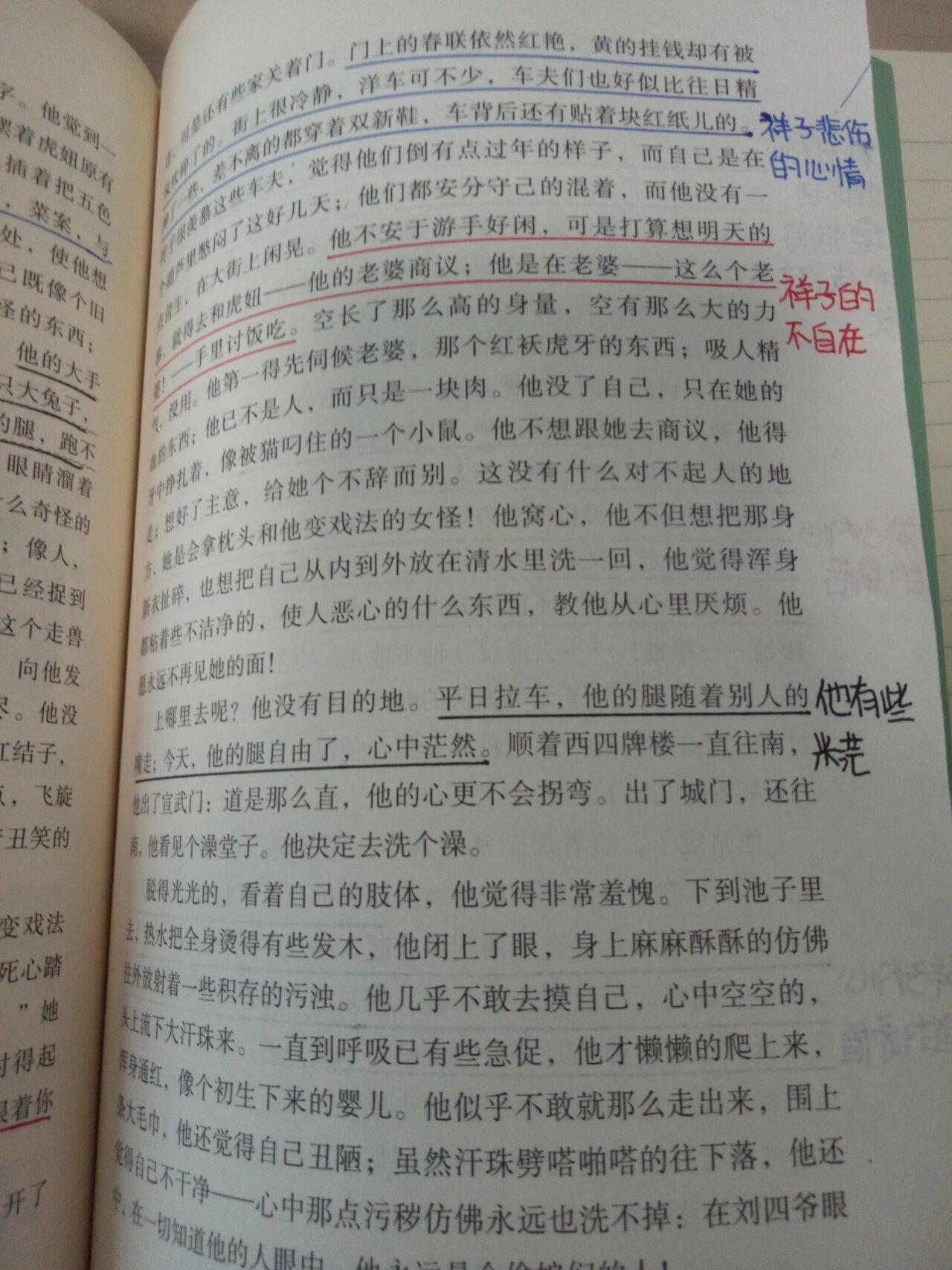 骆驼祥子15章批注图片图片